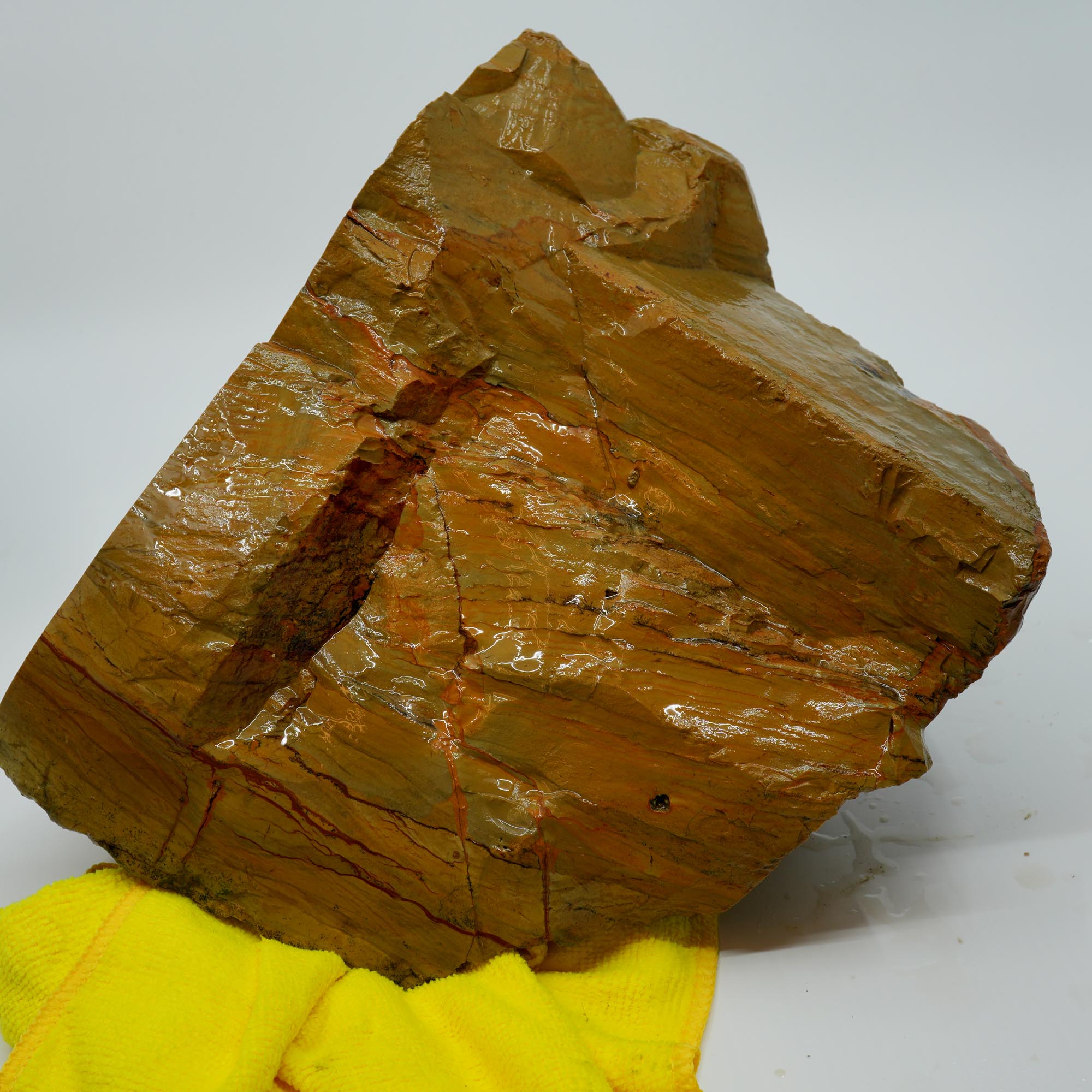 Owyhee Picture Jasper Cut and Proven - Believed Windy Ridge Variety - 18 lbs