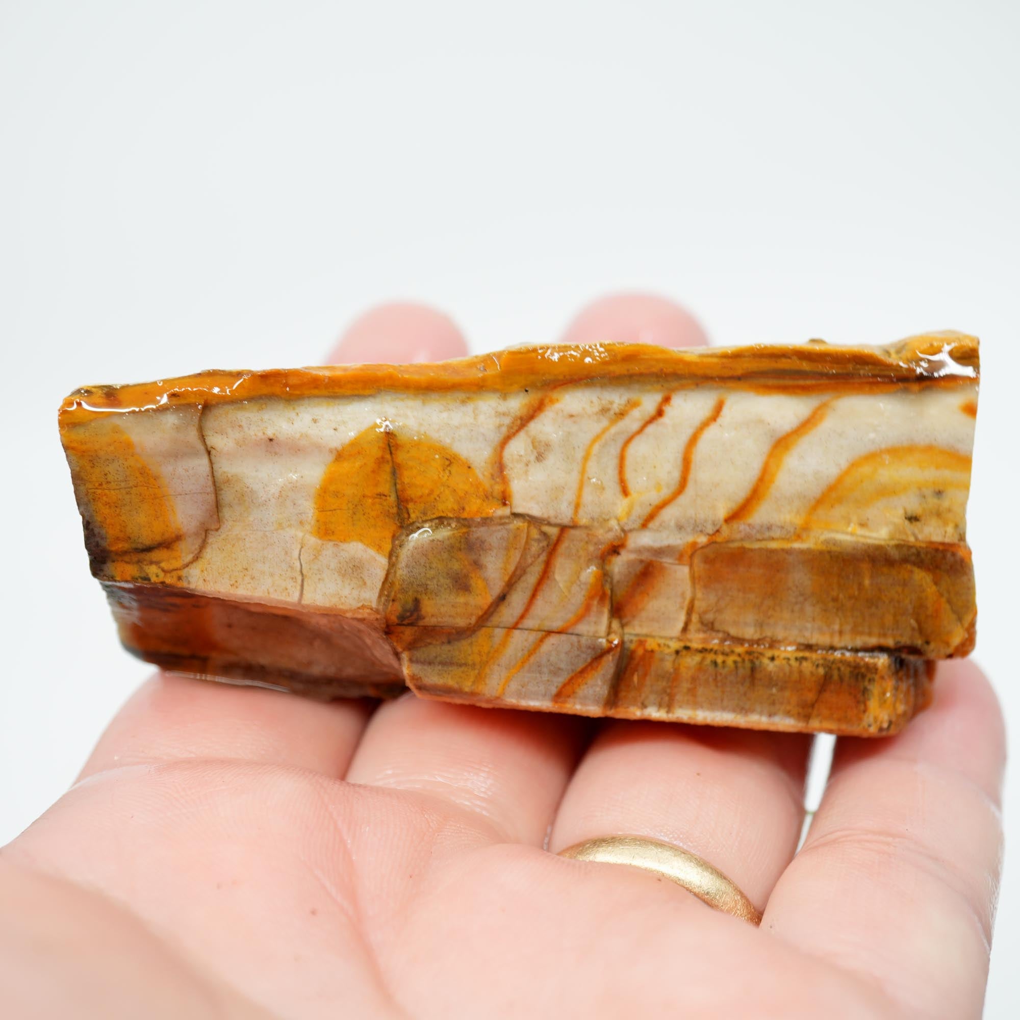 Mystery Petrified Wood Rough - Opalized with Druzy and Dendrites