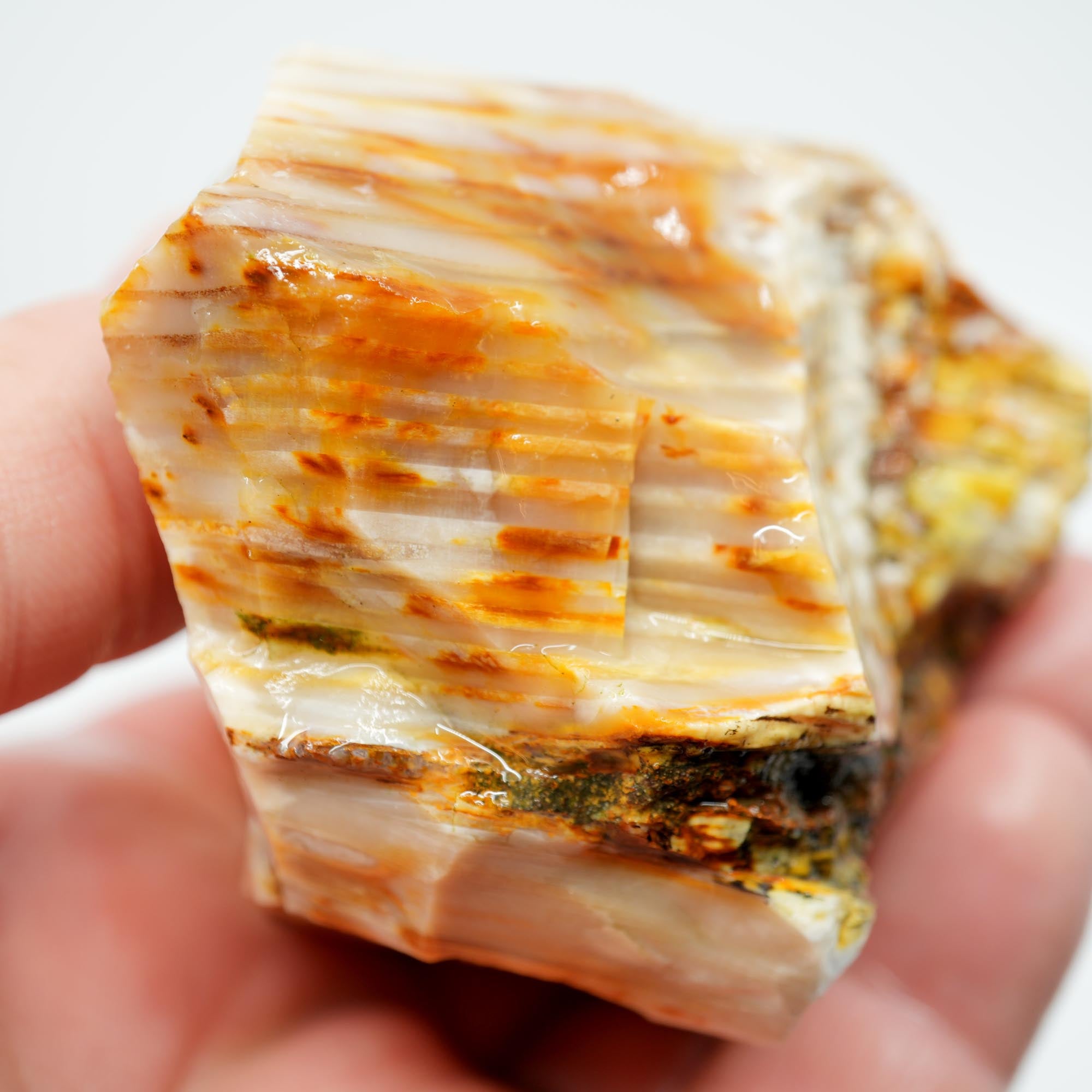 Mystery Opalized Petrified Wood Rough - Possibly Calico Oak