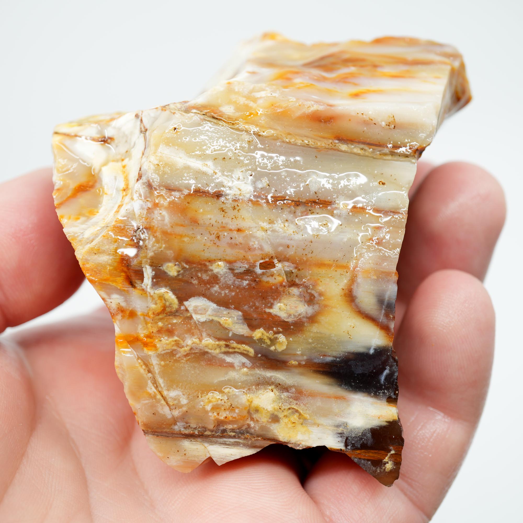 Mystery Opalized Petrified Wood Rough - Possibly Calico Oak