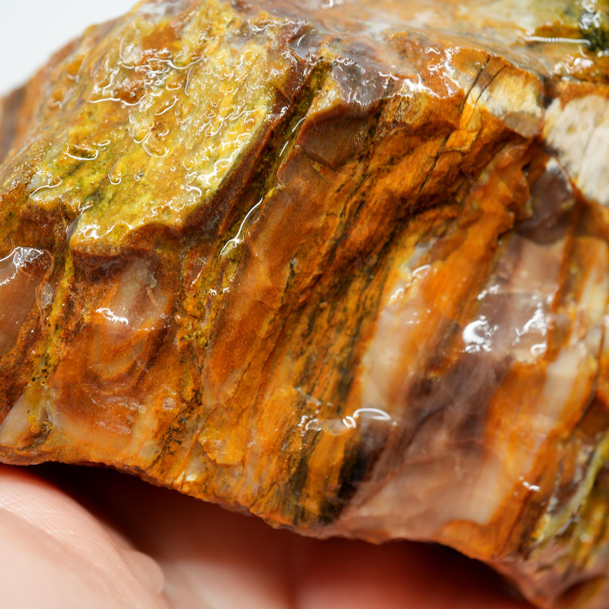 Saddle Mountain Petrified Wood Rough - Opal Capped Cutter