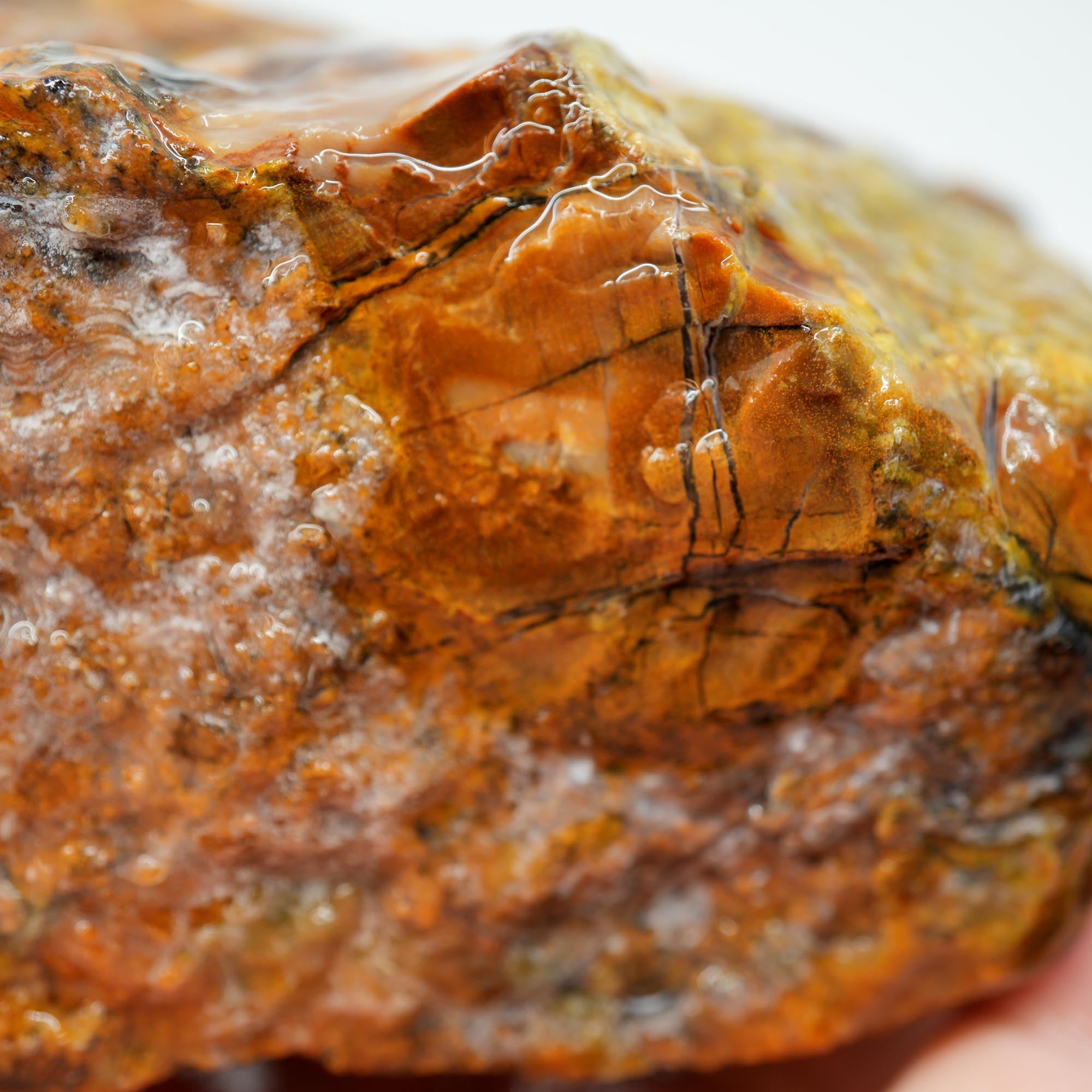 Saddle Mountain Petrified Wood Rough - Opal Capped Cutter
