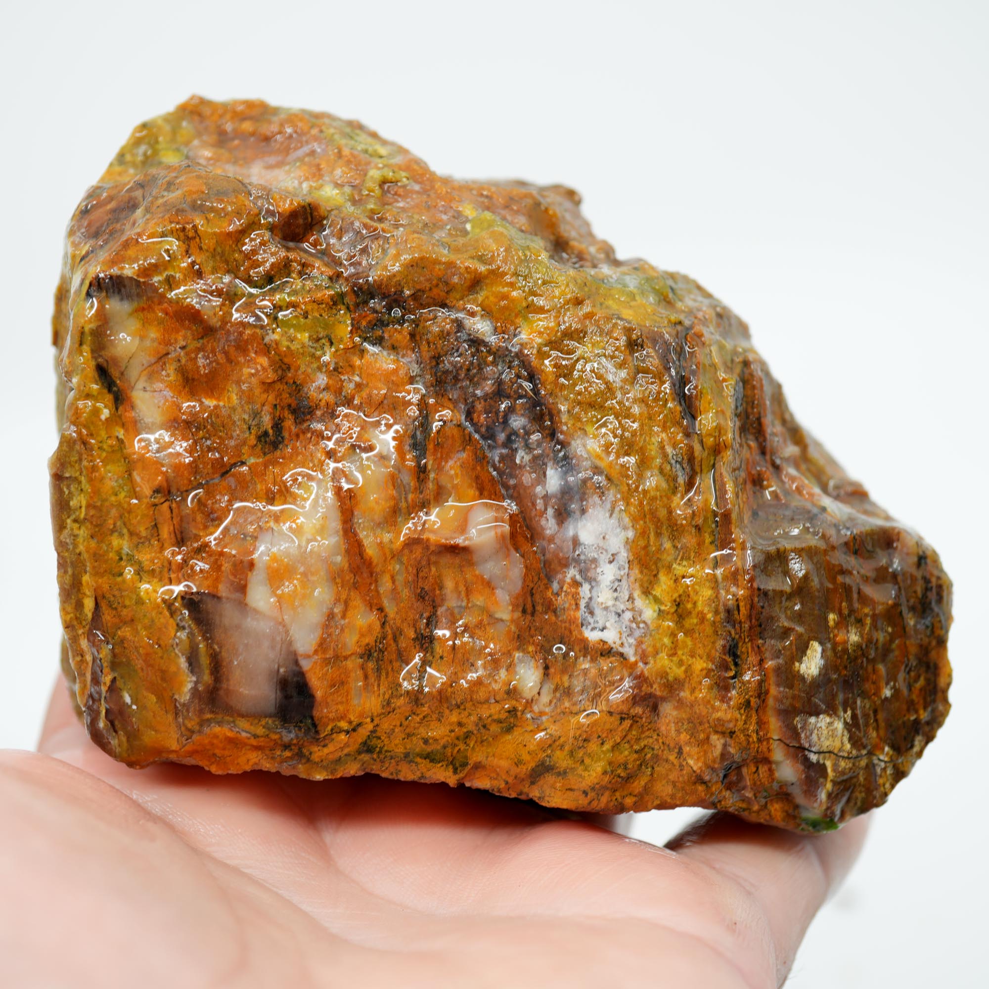 Saddle Mountain Petrified Wood Rough - Opal Capped Cutter