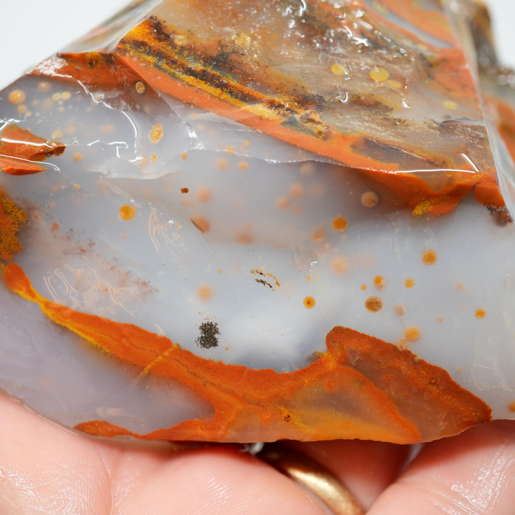 Blue Ice Polka Dot Agate Rough - Old Stock Display Specimen