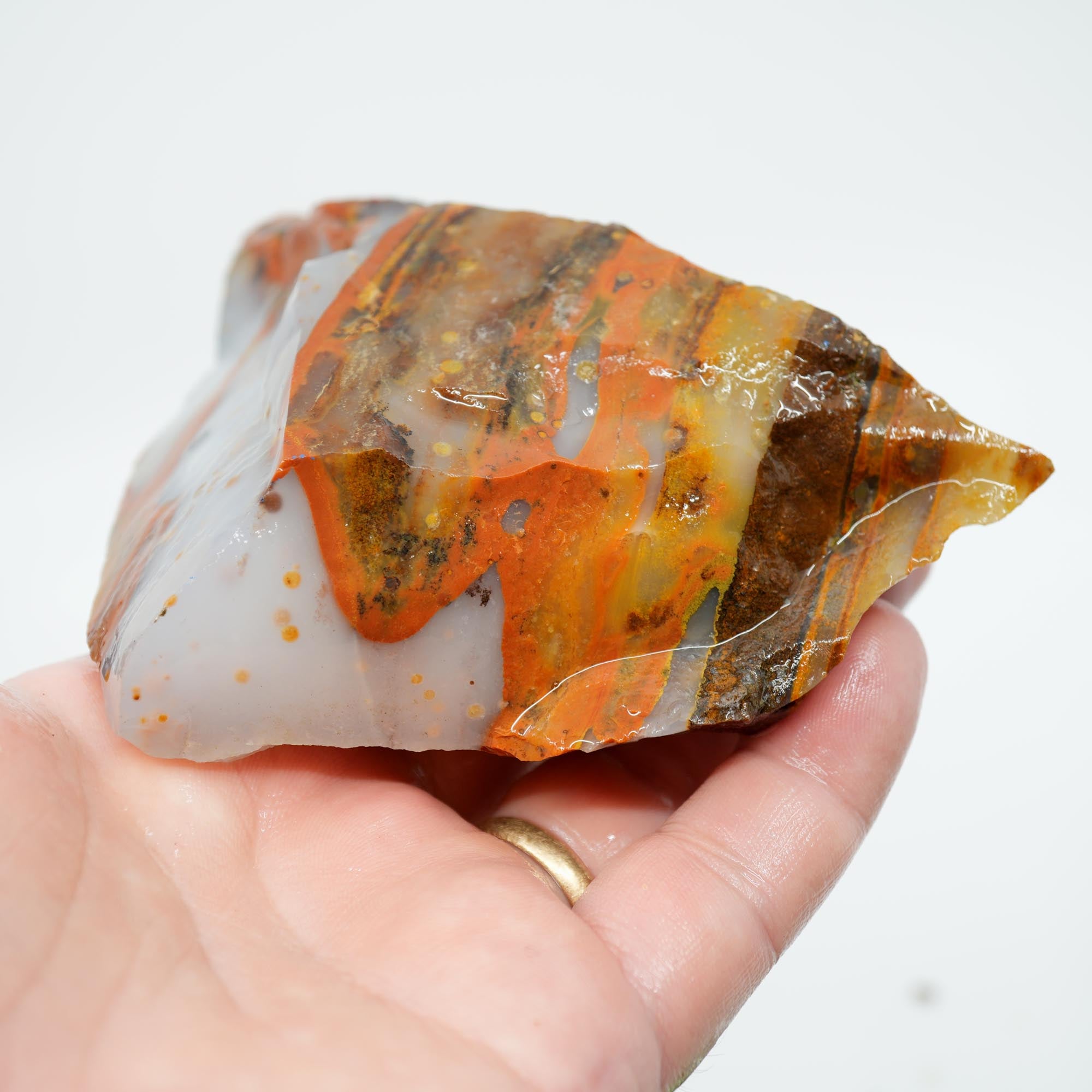 Blue Ice Polka Dot Agate Rough - Old Stock Display Specimen