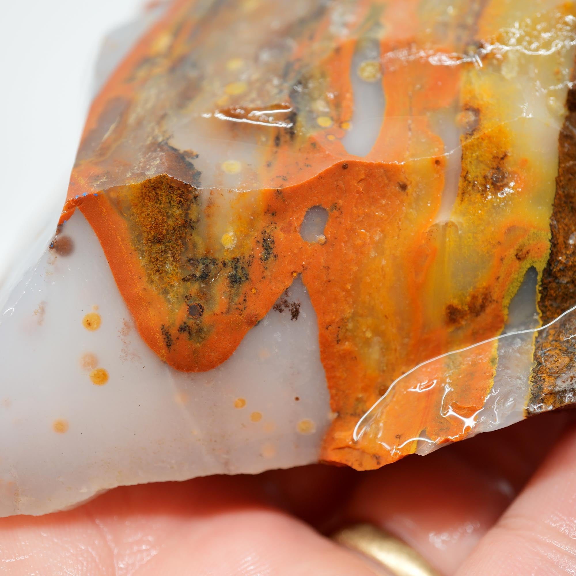 Blue Ice Polka Dot Agate Rough - Old Stock Display Specimen