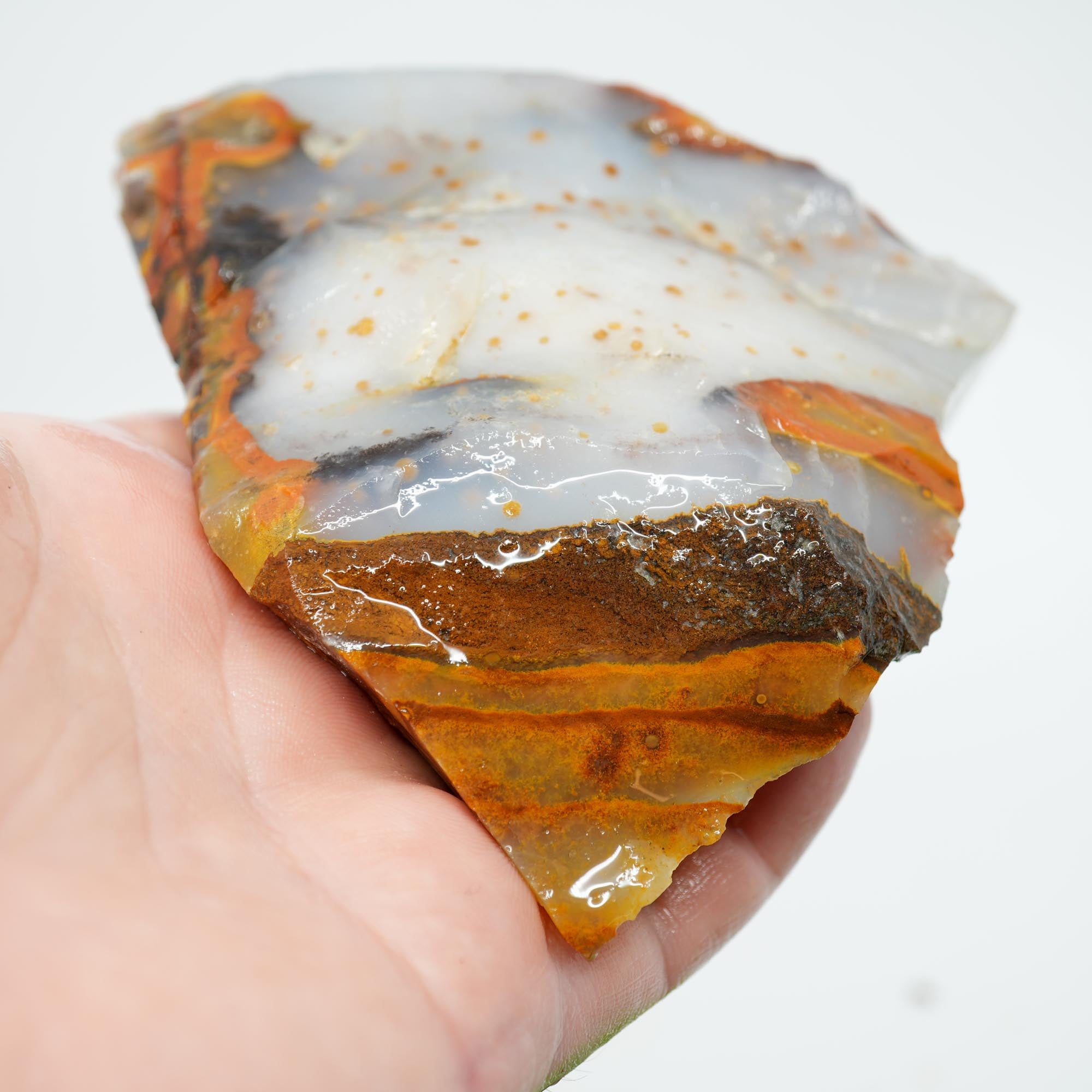 Blue Ice Polka Dot Agate Rough - Old Stock Display Specimen