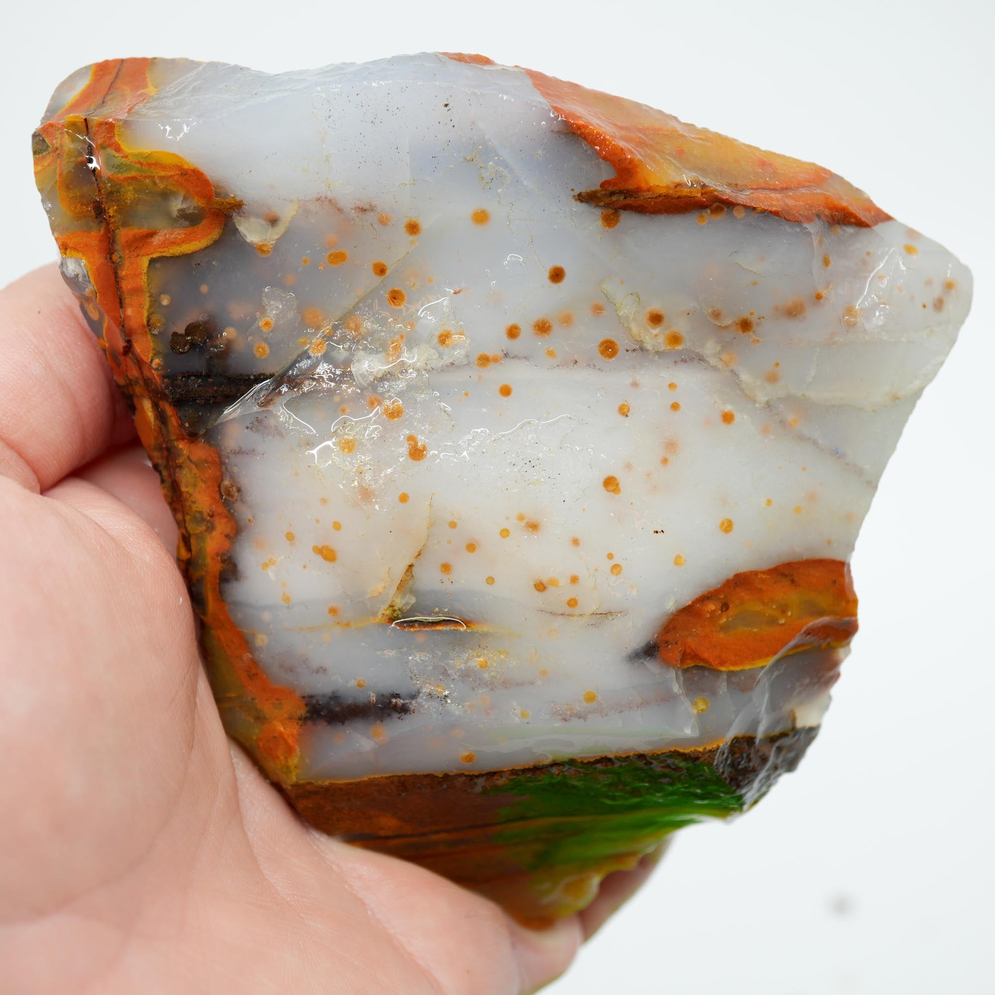 Blue Ice Polka Dot Agate Rough - Old Stock Display Specimen