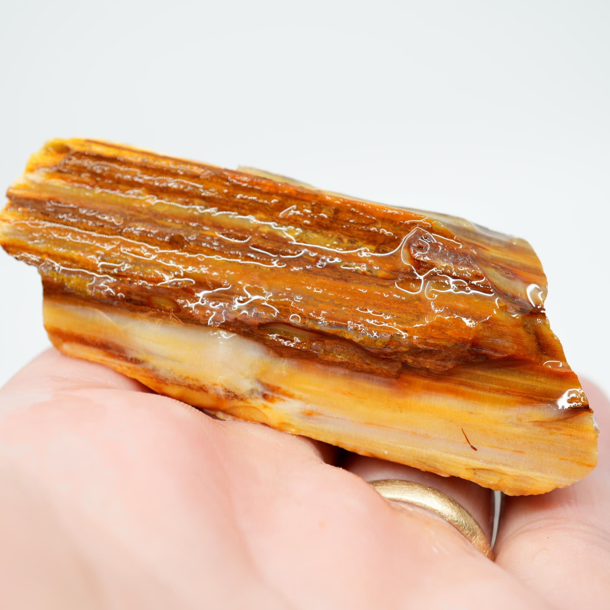 Mystery Opalized Petrified Wood Rough - Wavy Pattern Limb