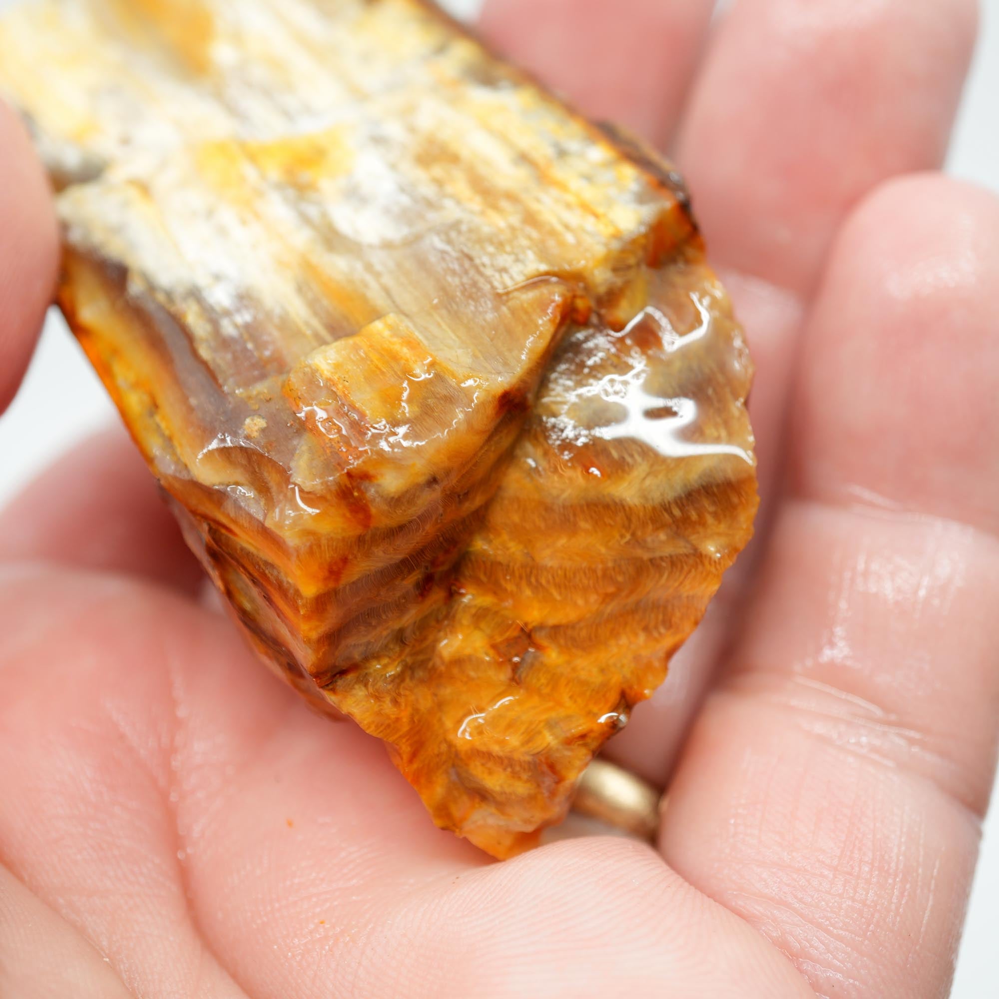 Mystery Opalized Petrified Wood Rough - Wavy Pattern Limb