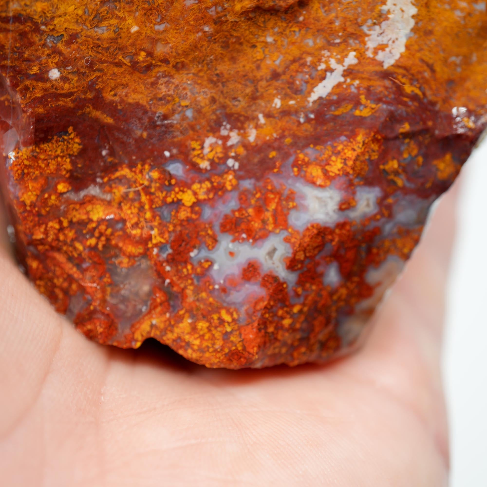 San Carlos Agate Rough - Plume-like with Bright Red and Blue