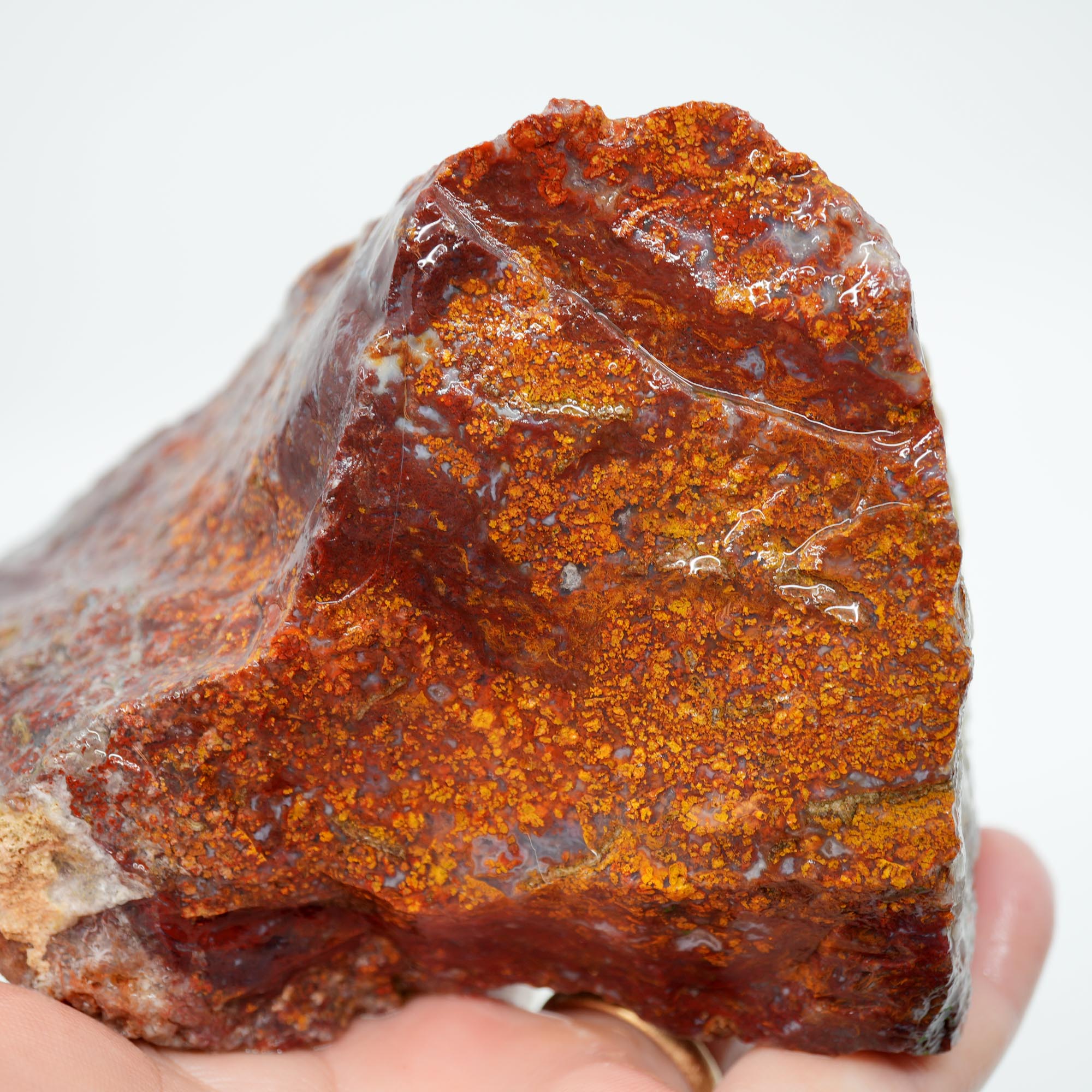 San Carlos Agate Rough - Plume-like with Bright Red and Blue