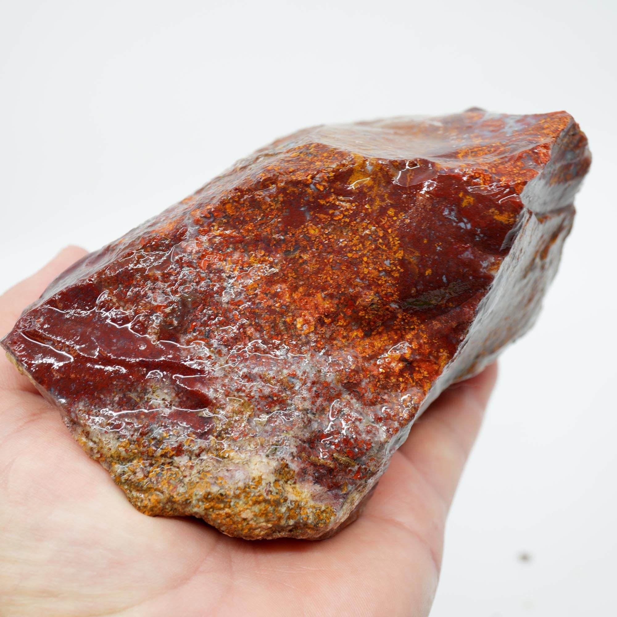 San Carlos Agate Rough - Plume-like with Bright Red and Blue