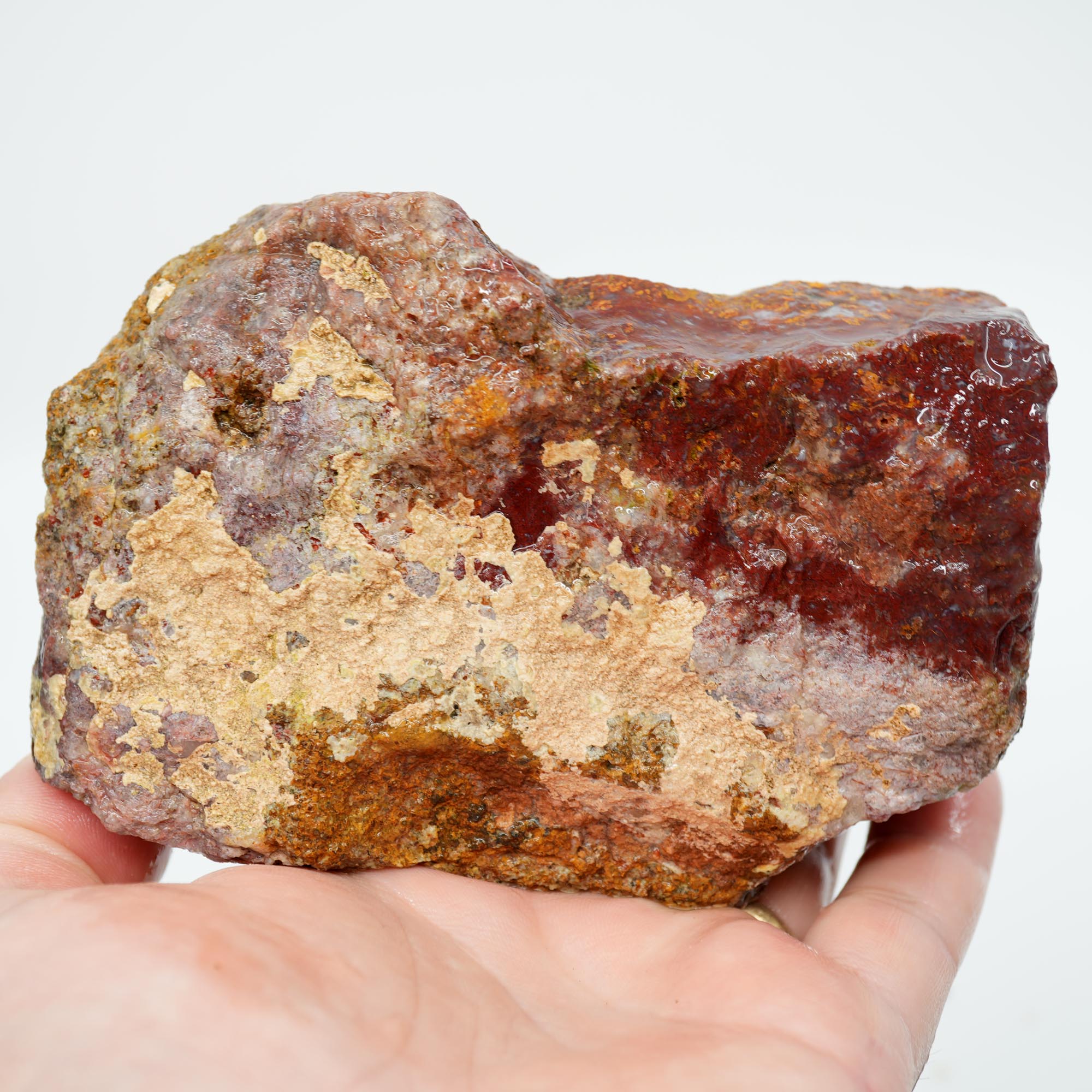 San Carlos Agate Rough - Plume-like with Bright Red and Blue