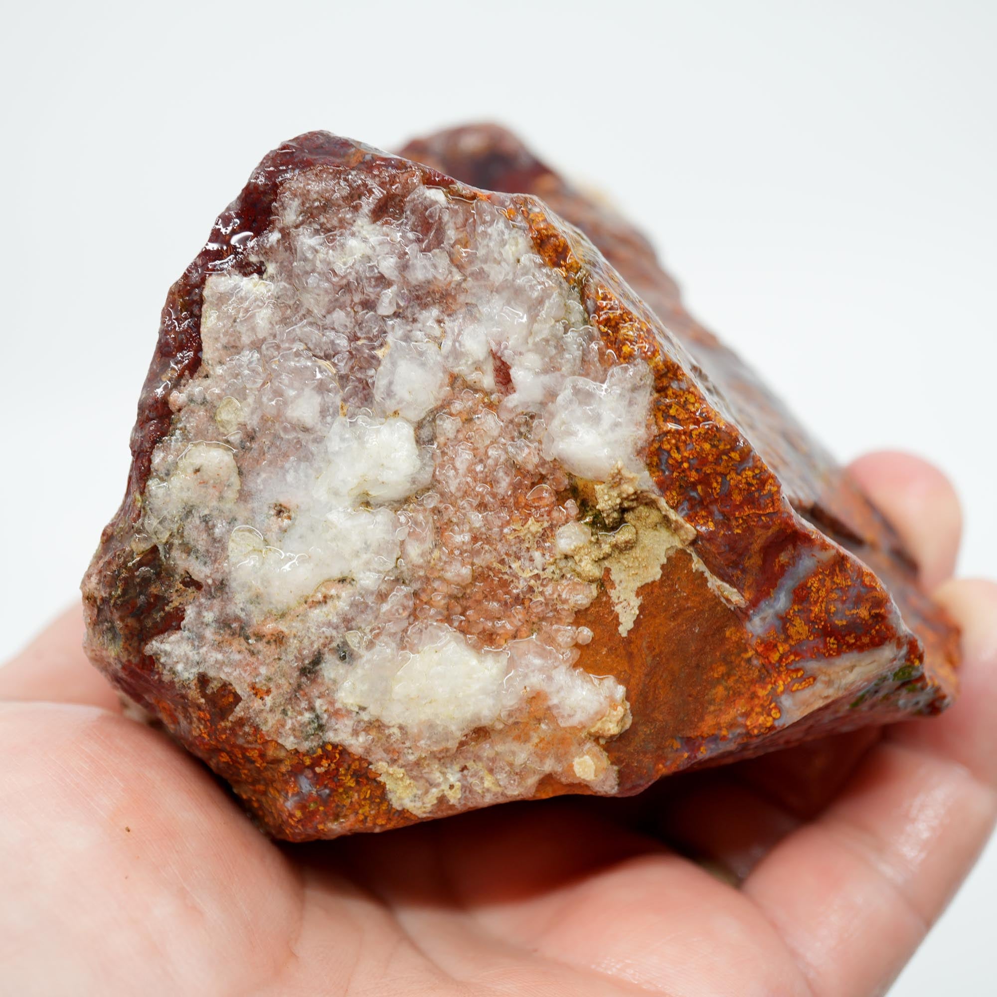 San Carlos Agate Rough - Plume-like with Bright Red and Blue