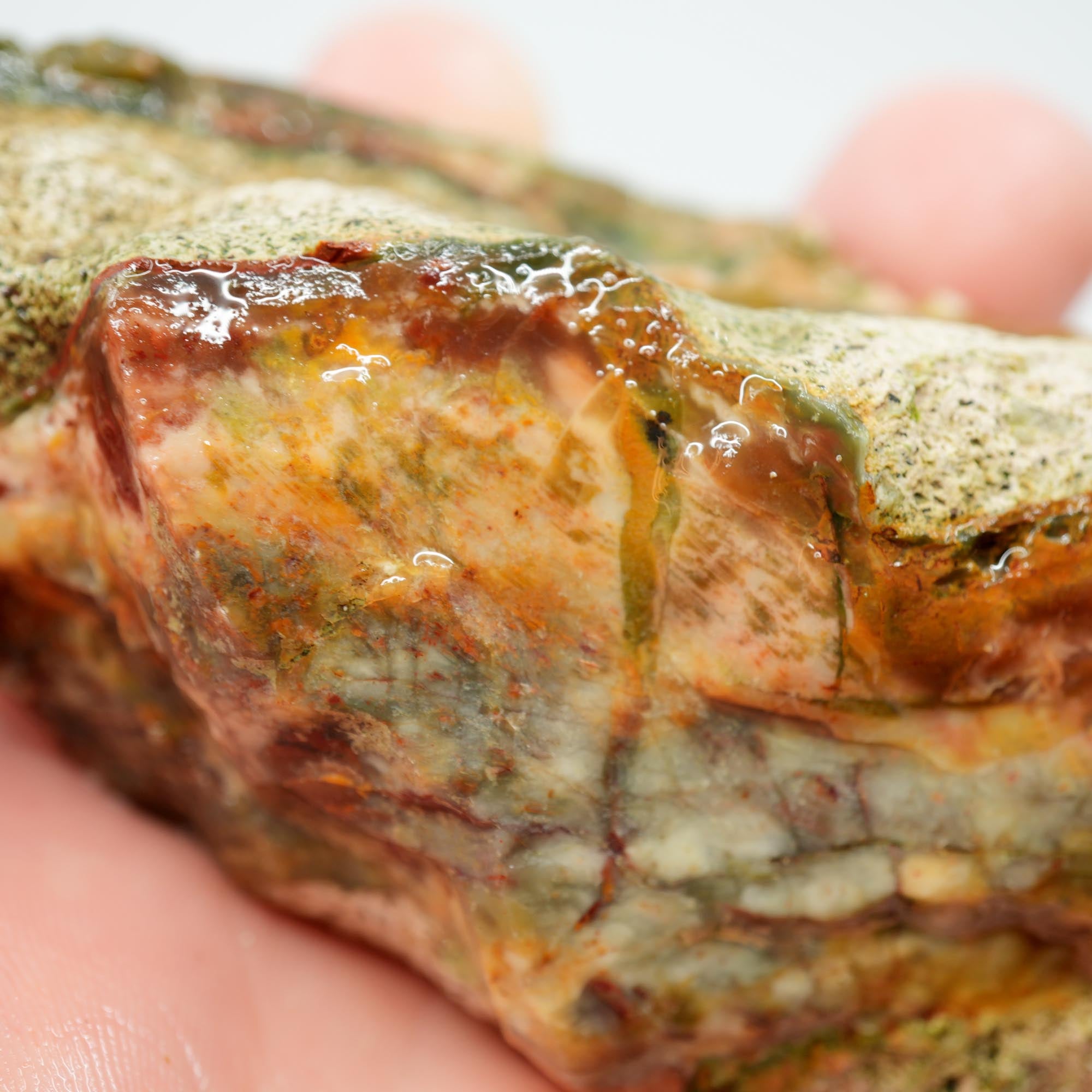 Morrisonite Jasper Rough - Old Stock Creamy Blue and Red Trimmer