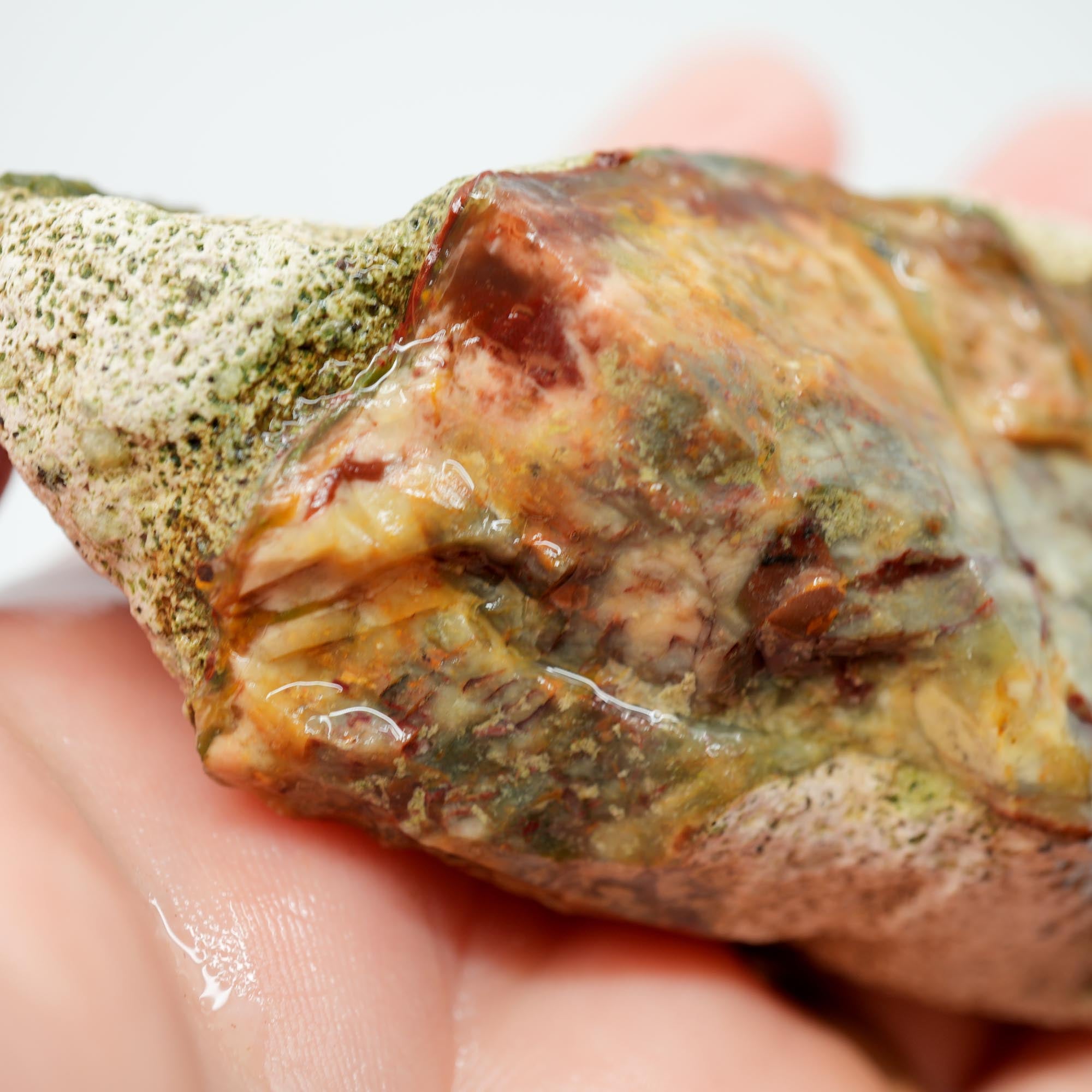 Morrisonite Jasper Rough - Old Stock Creamy Blue and Red Trimmer