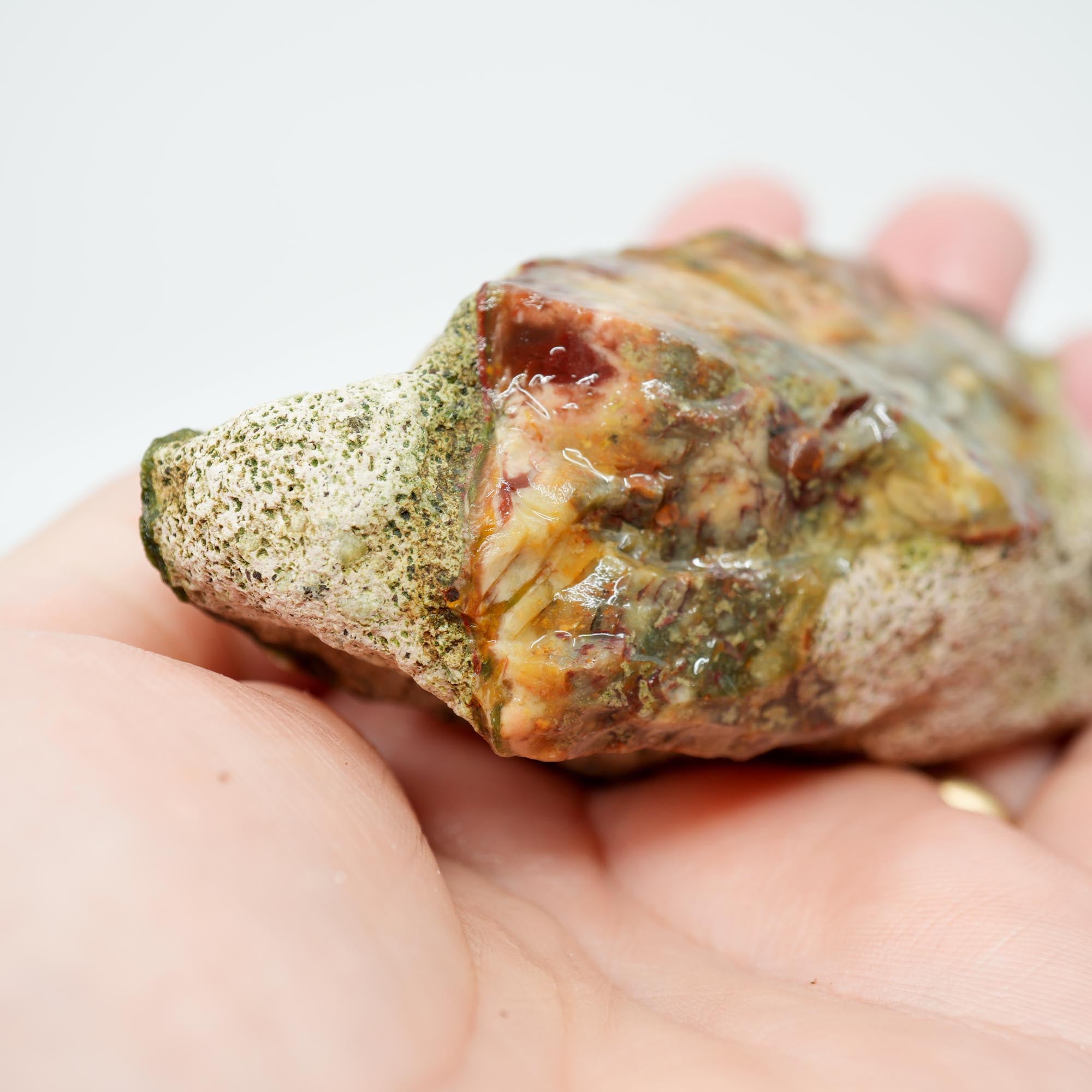 Morrisonite Jasper Rough - Old Stock Creamy Blue and Red Trimmer