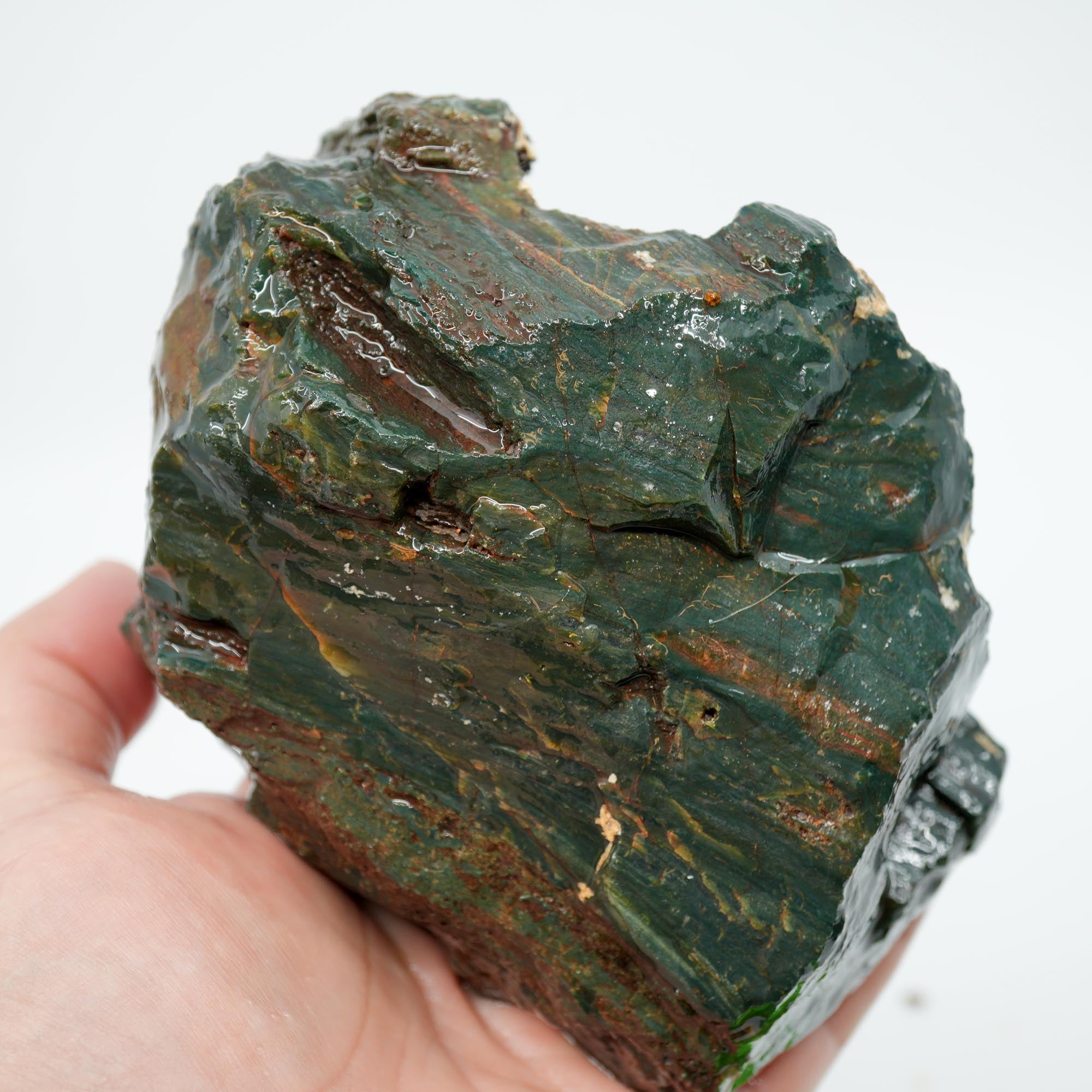 Hampton Butte Petrified Wood Rough - Bright Green High-Grade Cutter