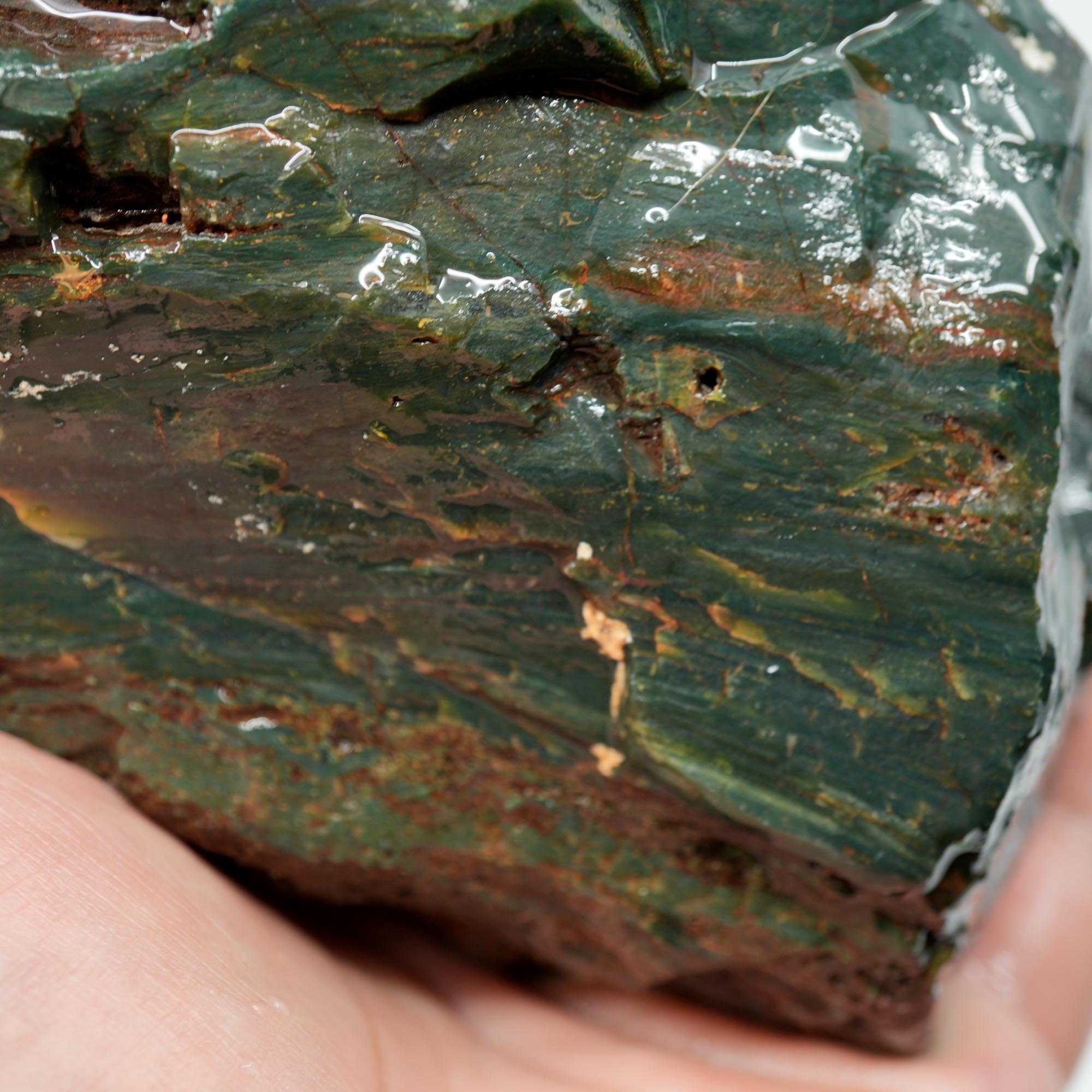 Hampton Butte Petrified Wood Rough - Bright Green High-Grade Cutter