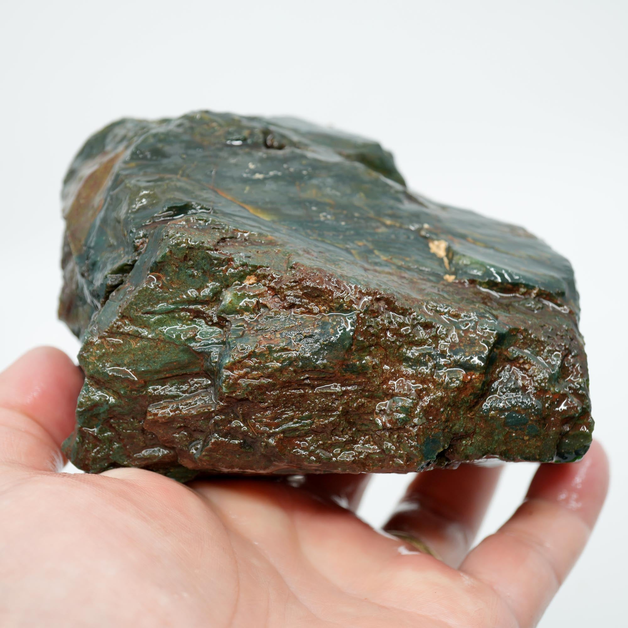 Hampton Butte Petrified Wood Rough - Bright Green High-Grade Cutter