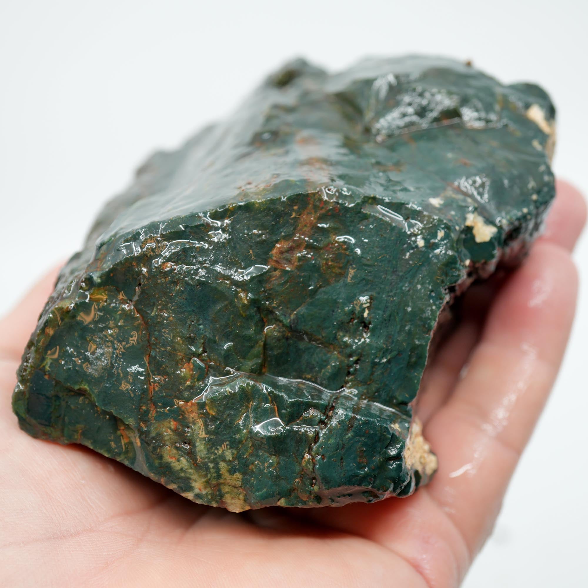 Hampton Butte Petrified Wood Rough - Bright Green High-Grade Cutter