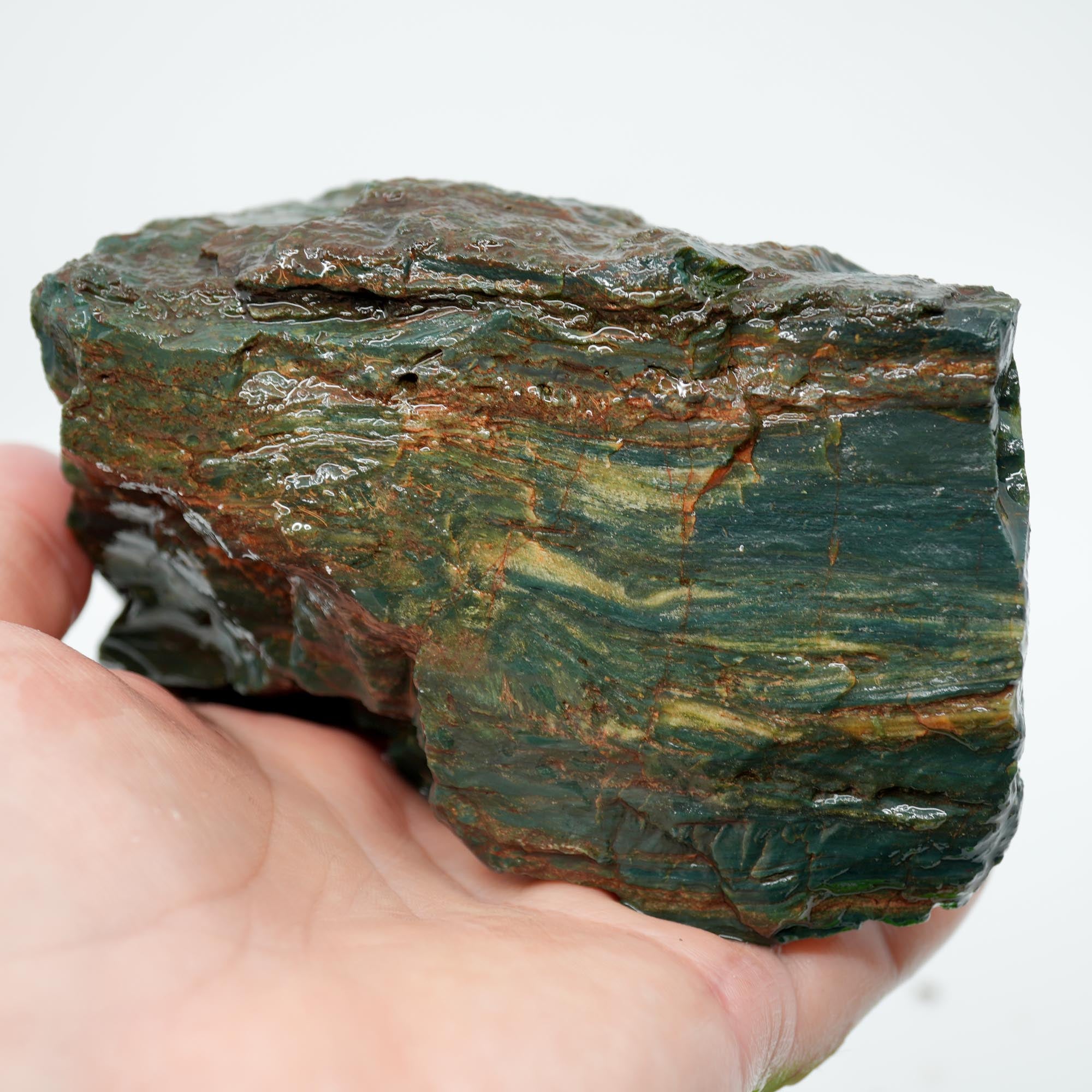 Hampton Butte Petrified Wood Rough - Bright Green High-Grade Cutter
