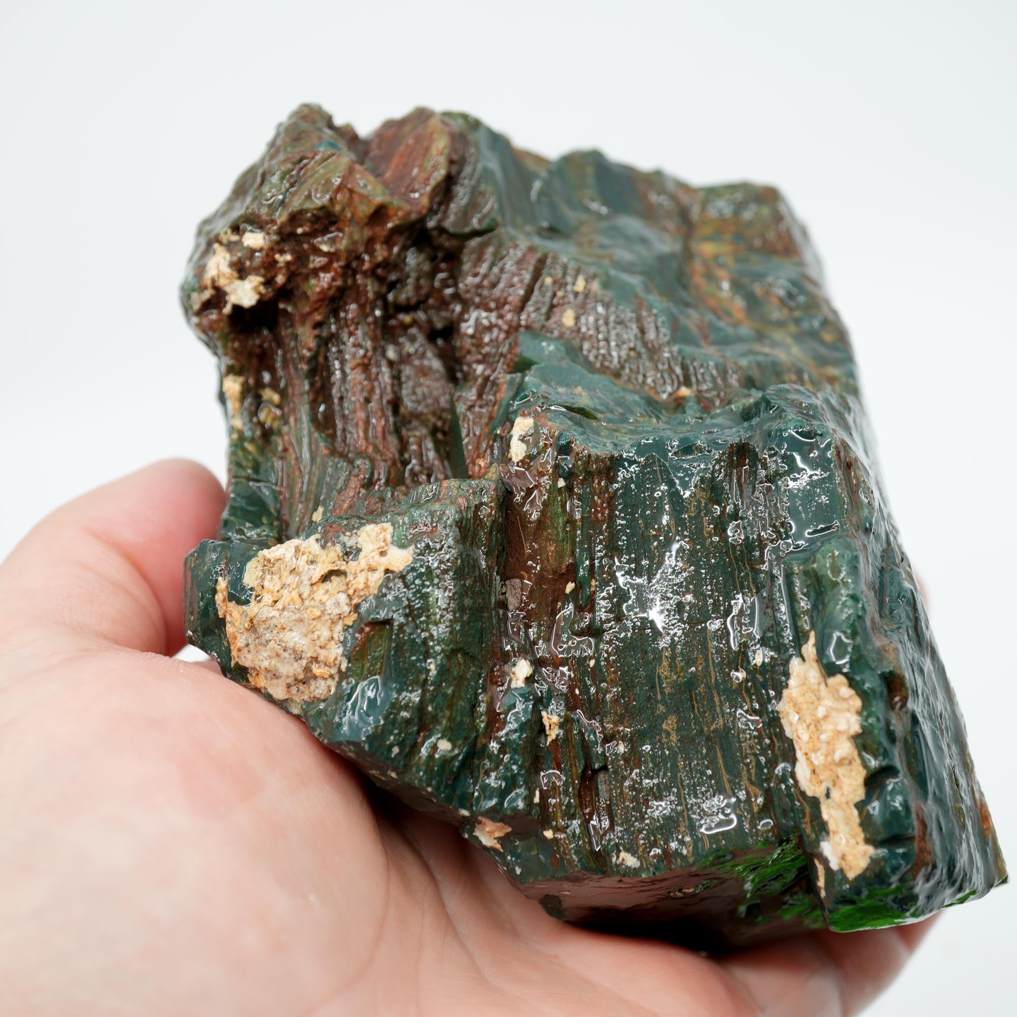 Hampton Butte Petrified Wood Rough - Bright Green High-Grade Cutter