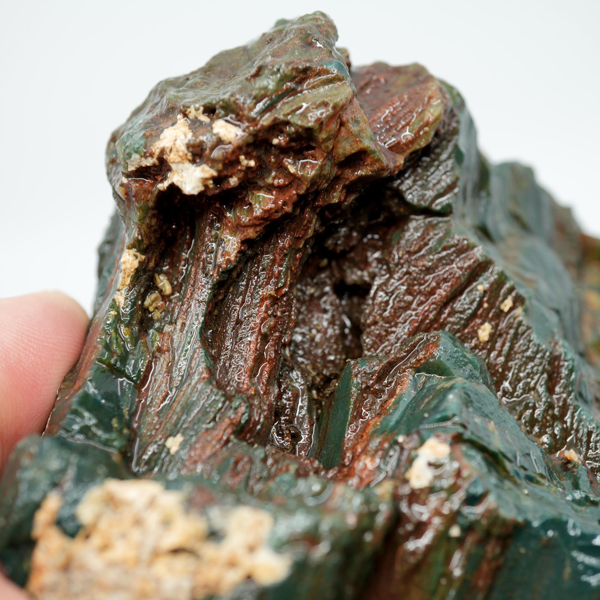 Hampton Butte Petrified Wood Rough - Bright Green High-Grade Cutter