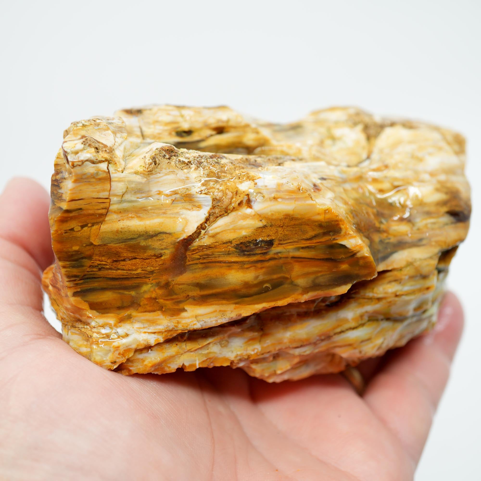 Wascoite Rough - Coffee Agate with Opal Pattern