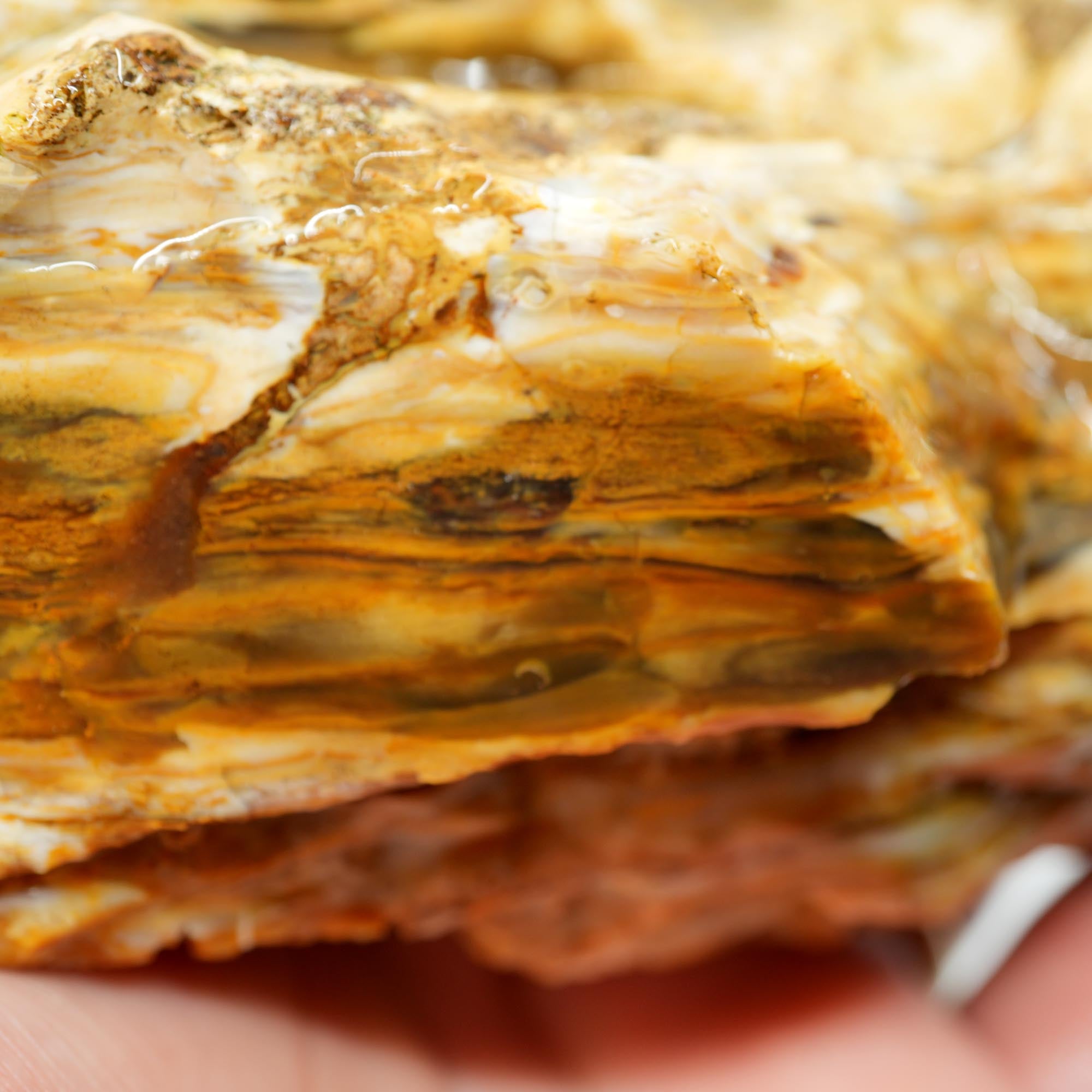 Wascoite Rough - Coffee Agate with Opal Pattern