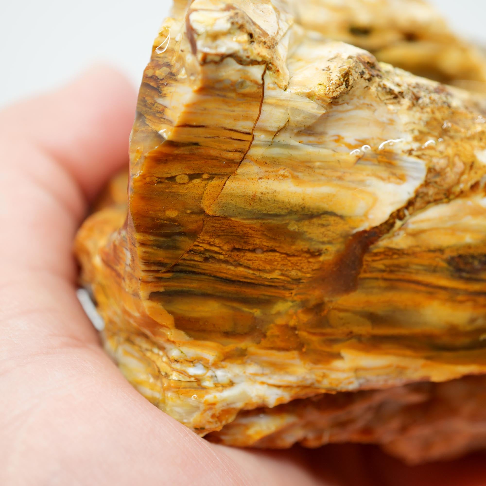 Wascoite Rough - Coffee Agate with Opal Pattern