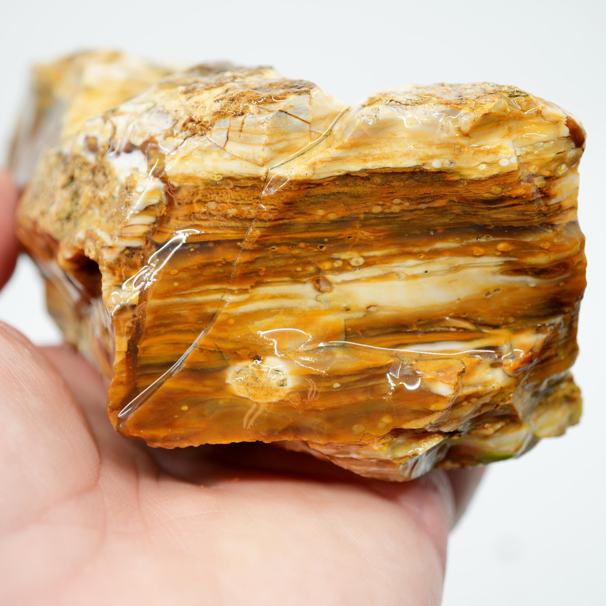 Wascoite Rough - Coffee Agate with Opal Pattern