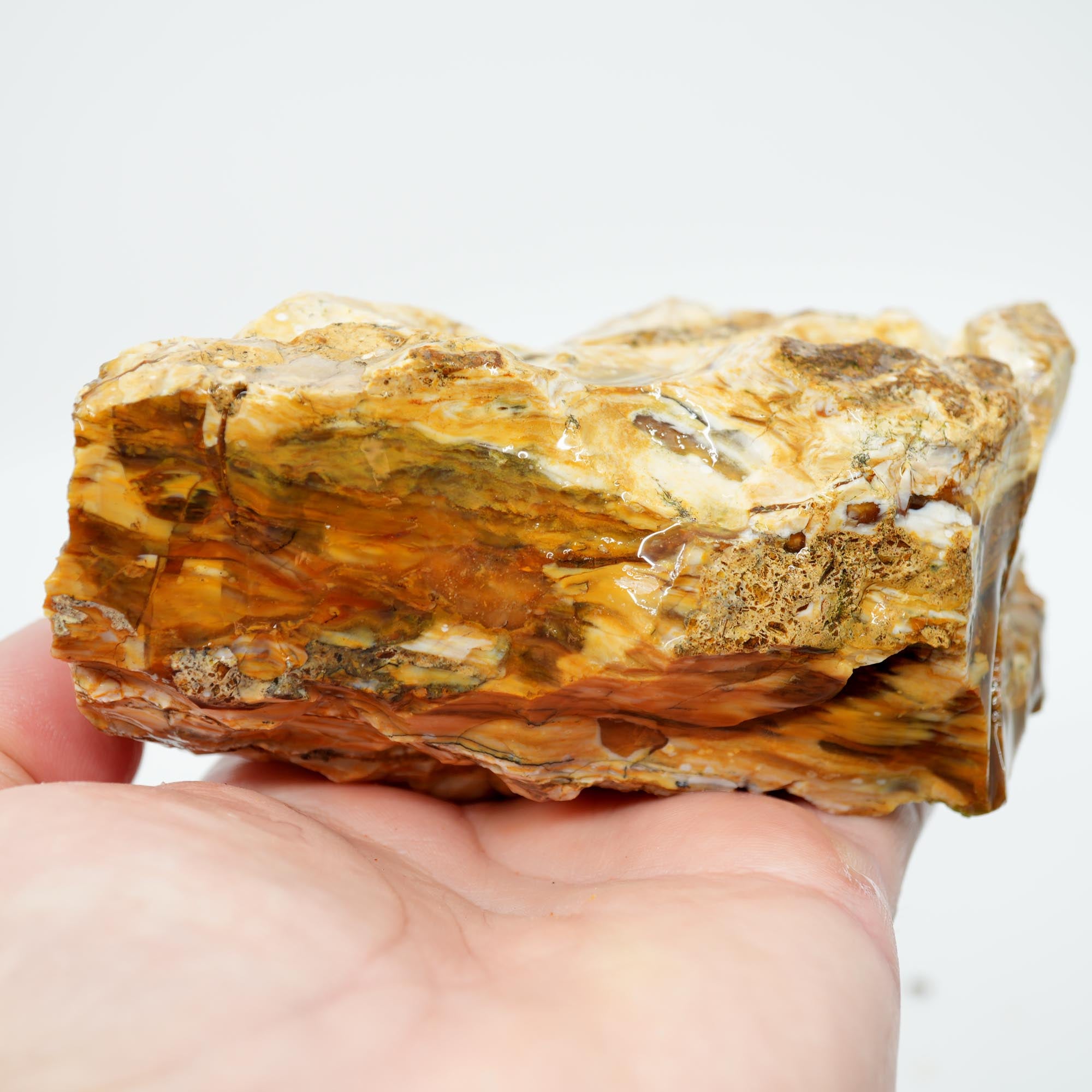 Wascoite Rough - Coffee Agate with Opal Pattern