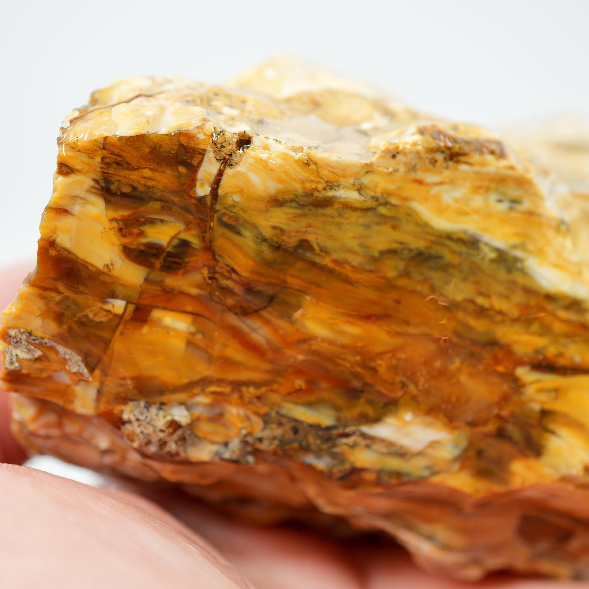 Wascoite Rough - Coffee Agate with Opal Pattern