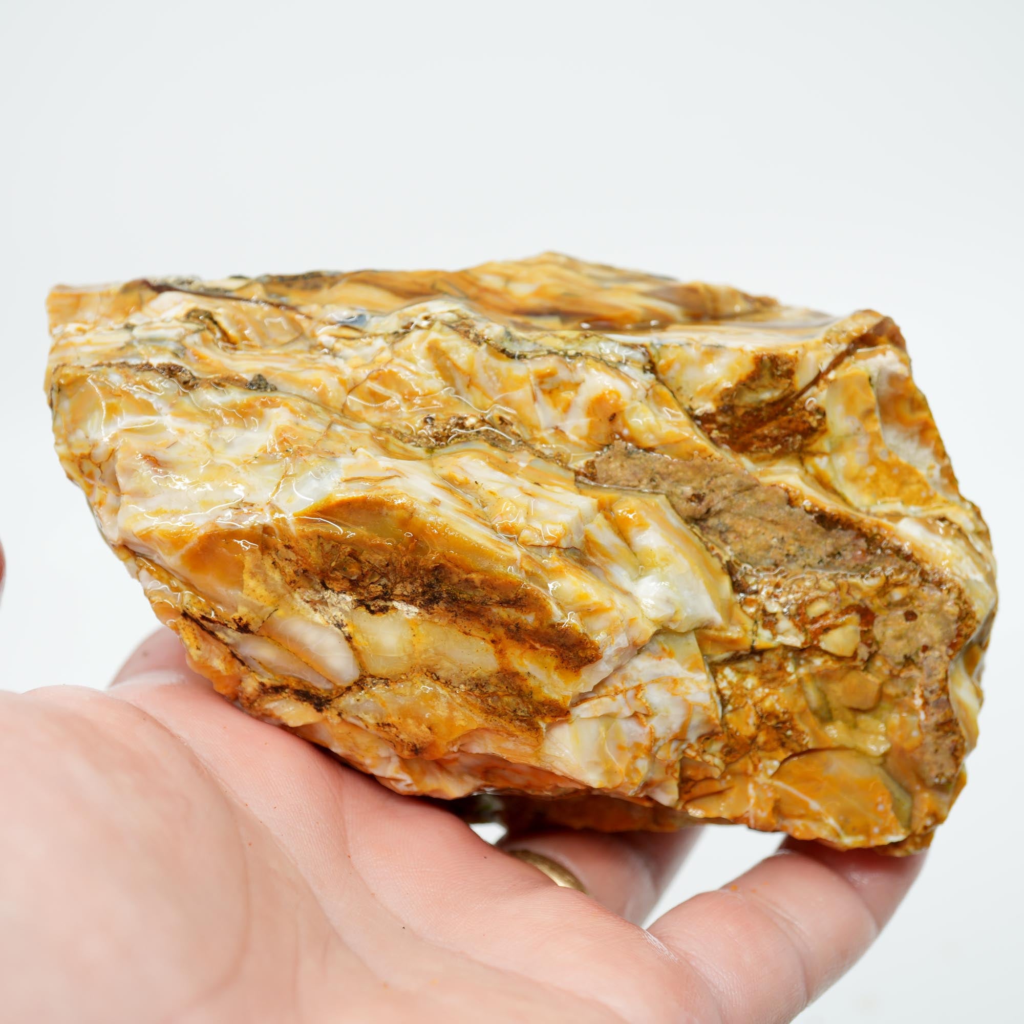 Wascoite Rough - Coffee Agate with Opal Pattern