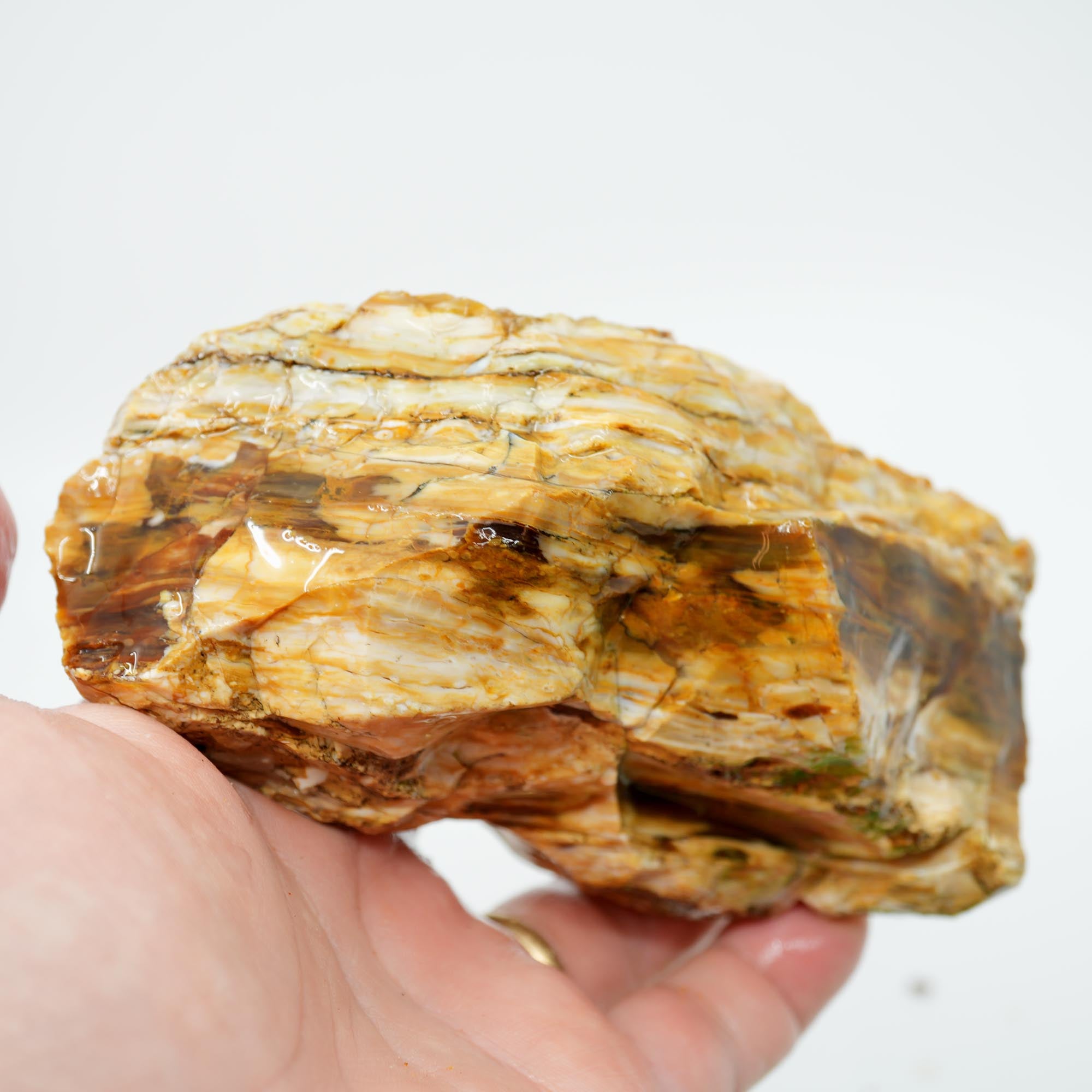 Wascoite Rough - Coffee Agate with Opal Pattern