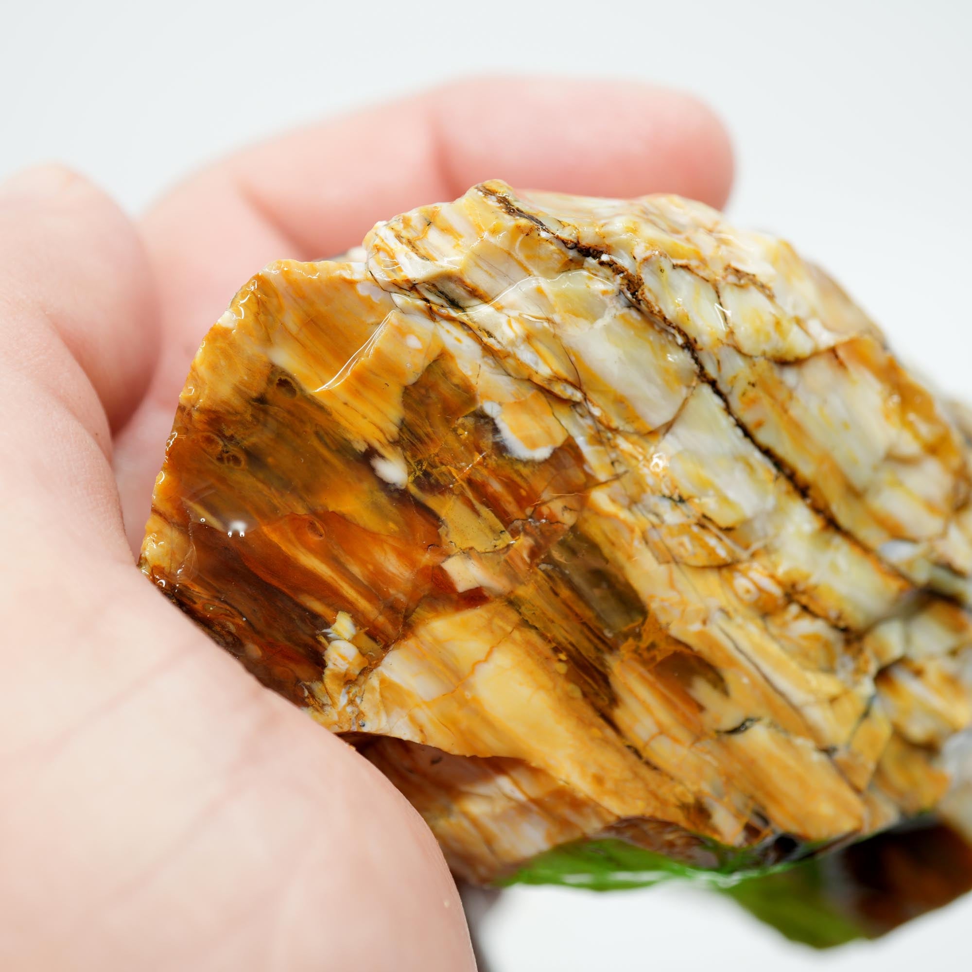 Wascoite Rough - Coffee Agate with Opal Pattern