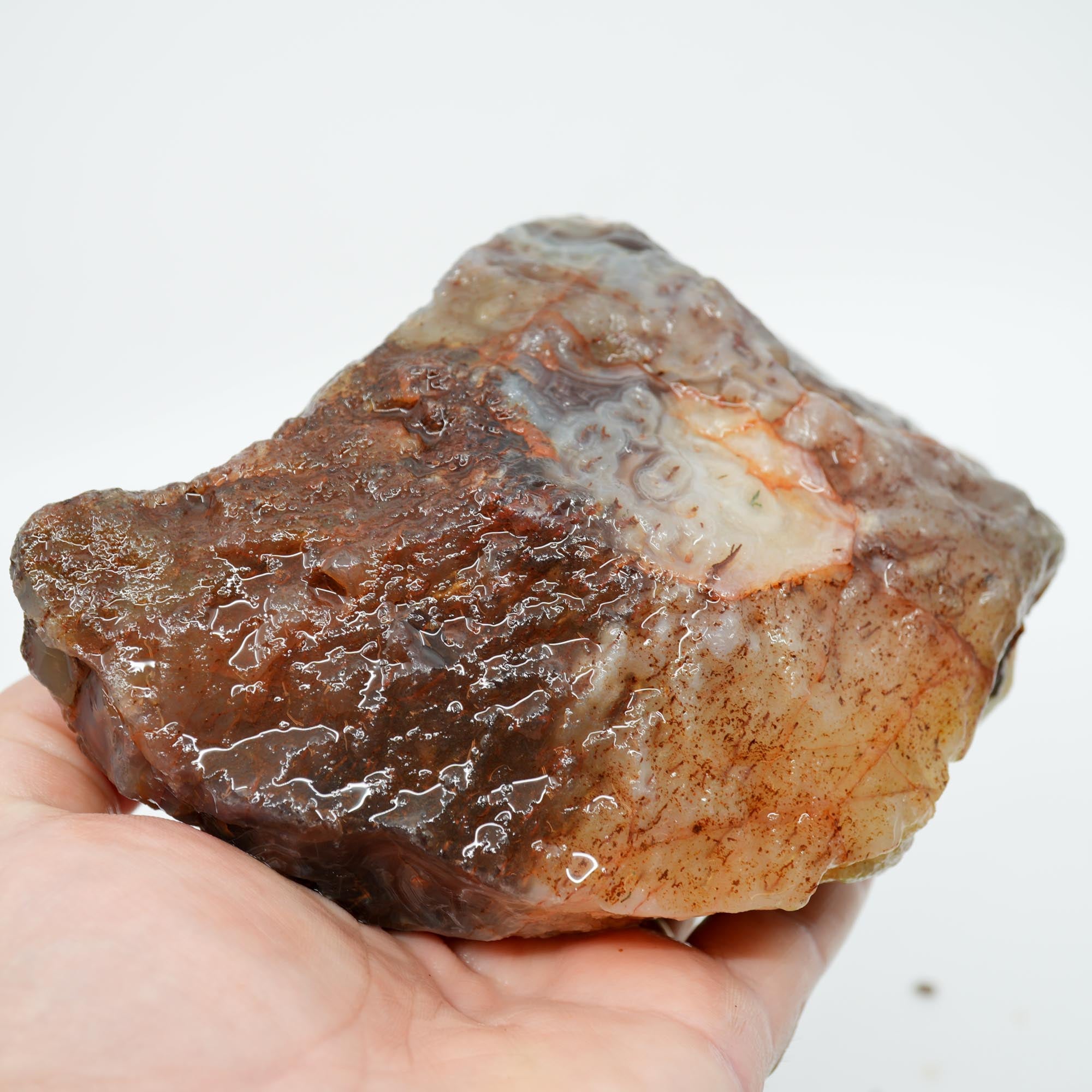 Large Botswana Agate Rough - Deep Blue Purple Fortification with Tubes