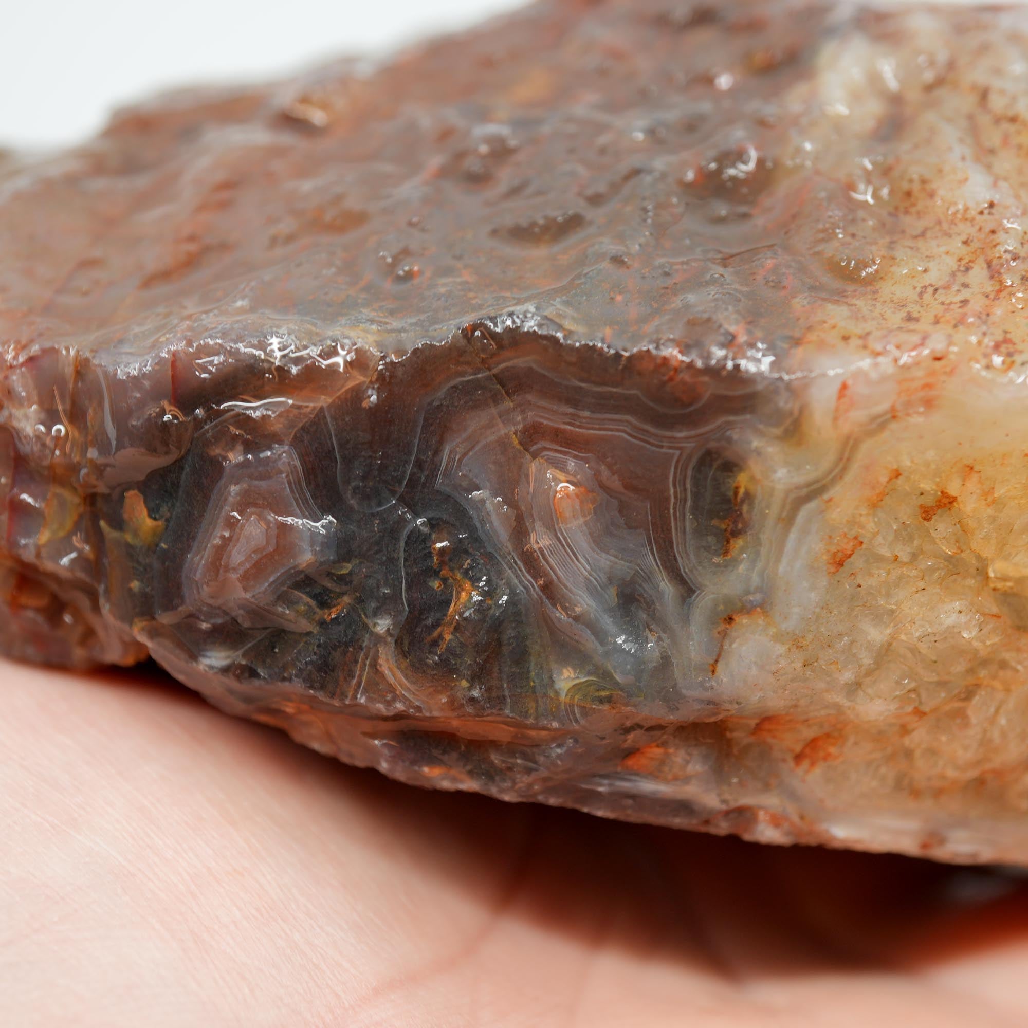Large Botswana Agate Rough - Deep Blue Purple Fortification with Tubes