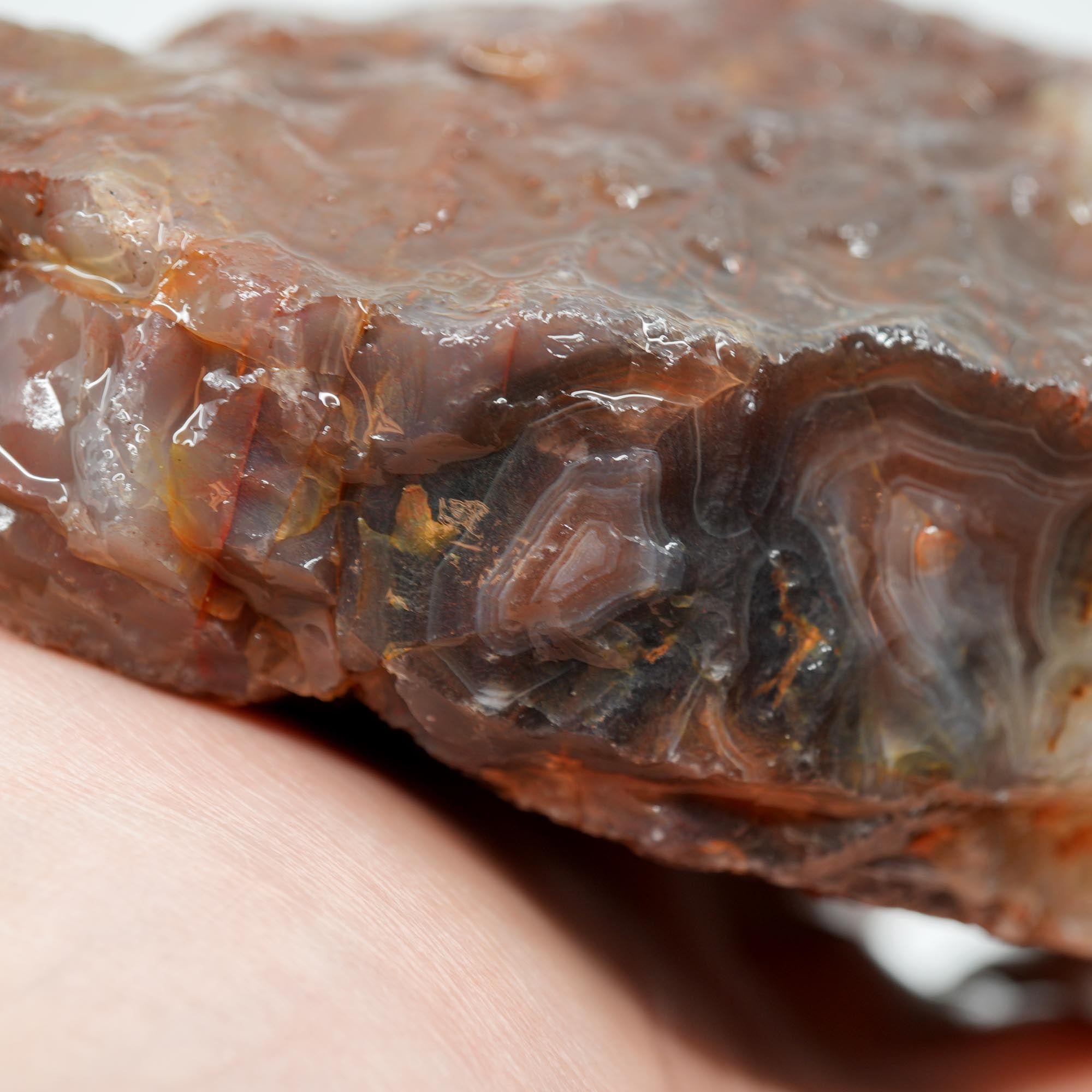 Large Botswana Agate Rough - Deep Blue Purple Fortification with Tubes