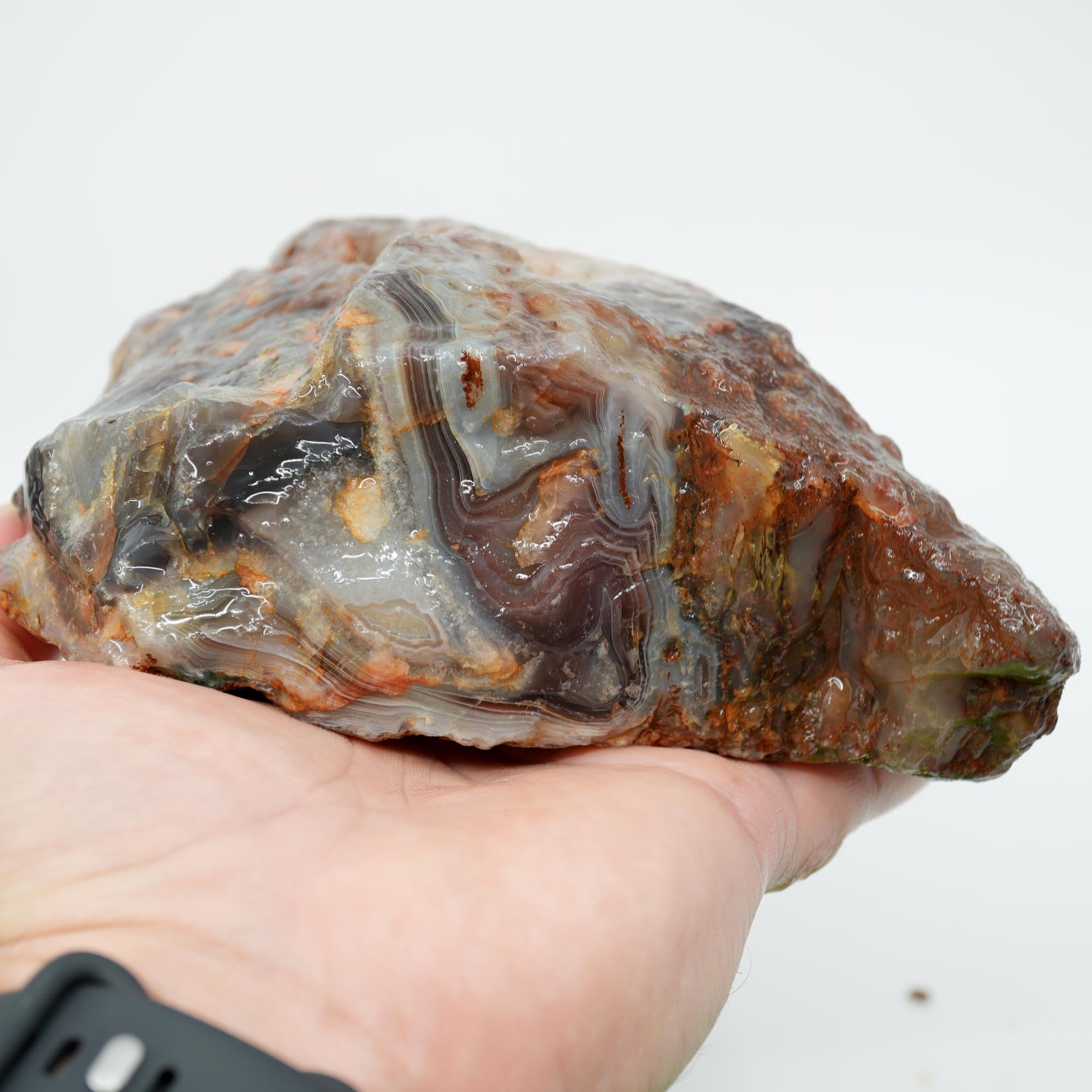 Large Botswana Agate Rough - Deep Blue Purple Fortification with Tubes