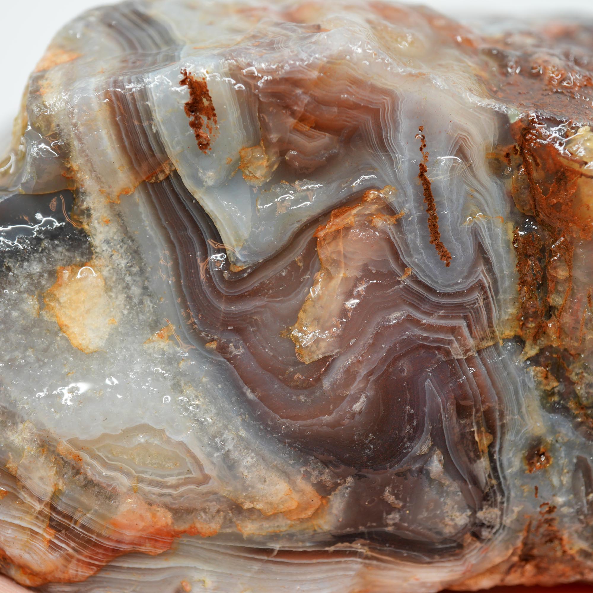 Large Botswana Agate Rough - Deep Blue Purple Fortification with Tubes