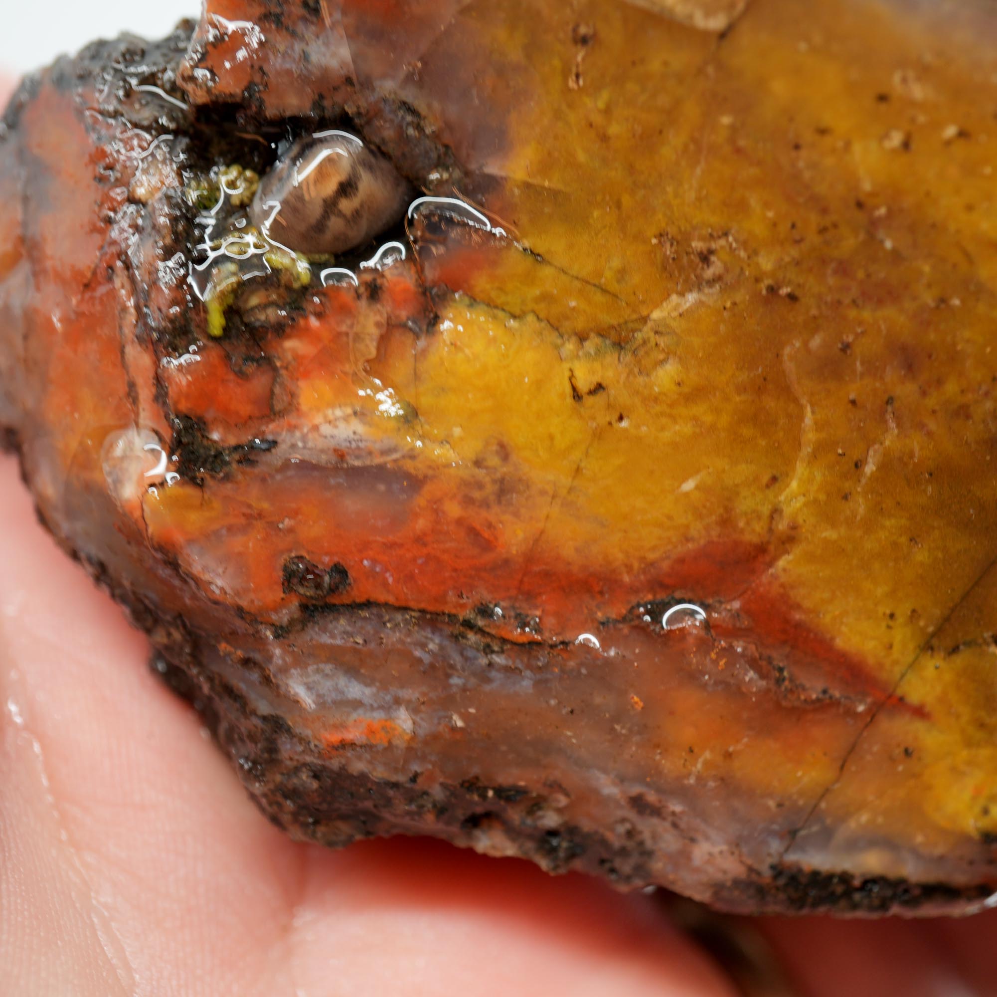Alabama Paint Agate Rough - Golden Moss with Red Flows