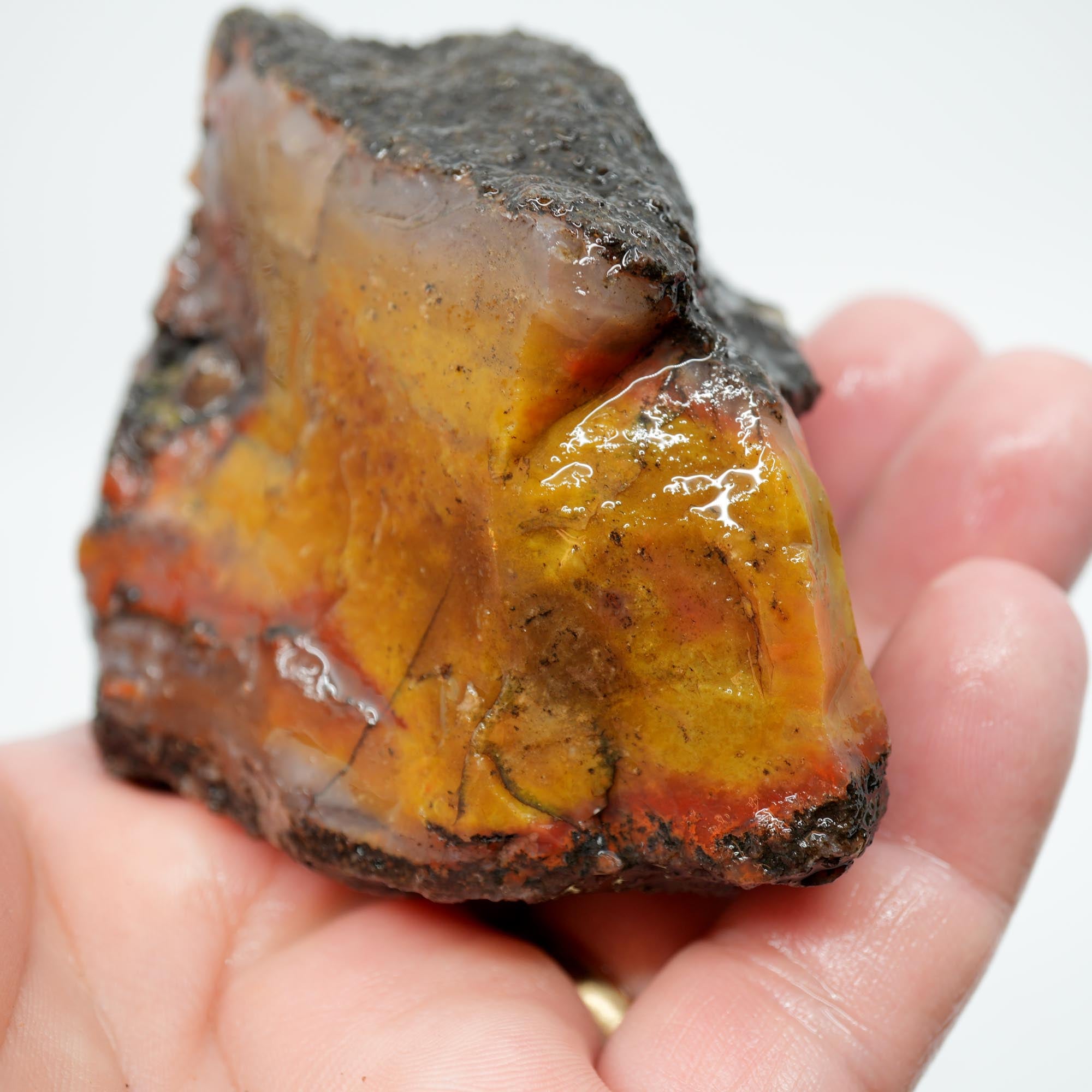 Alabama Paint Agate Rough - Golden Moss with Red Flows
