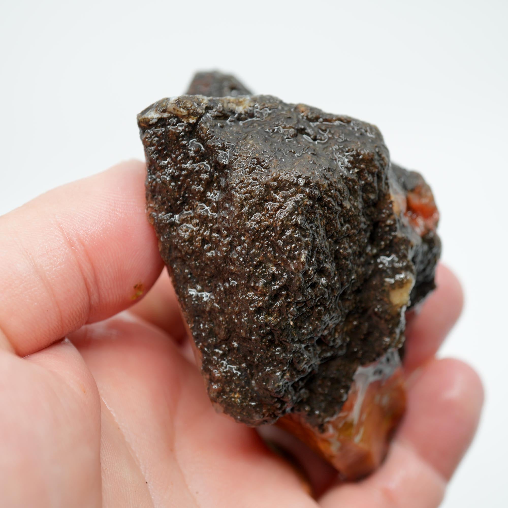 Alabama Paint Agate Rough - Golden Moss with Red Flows