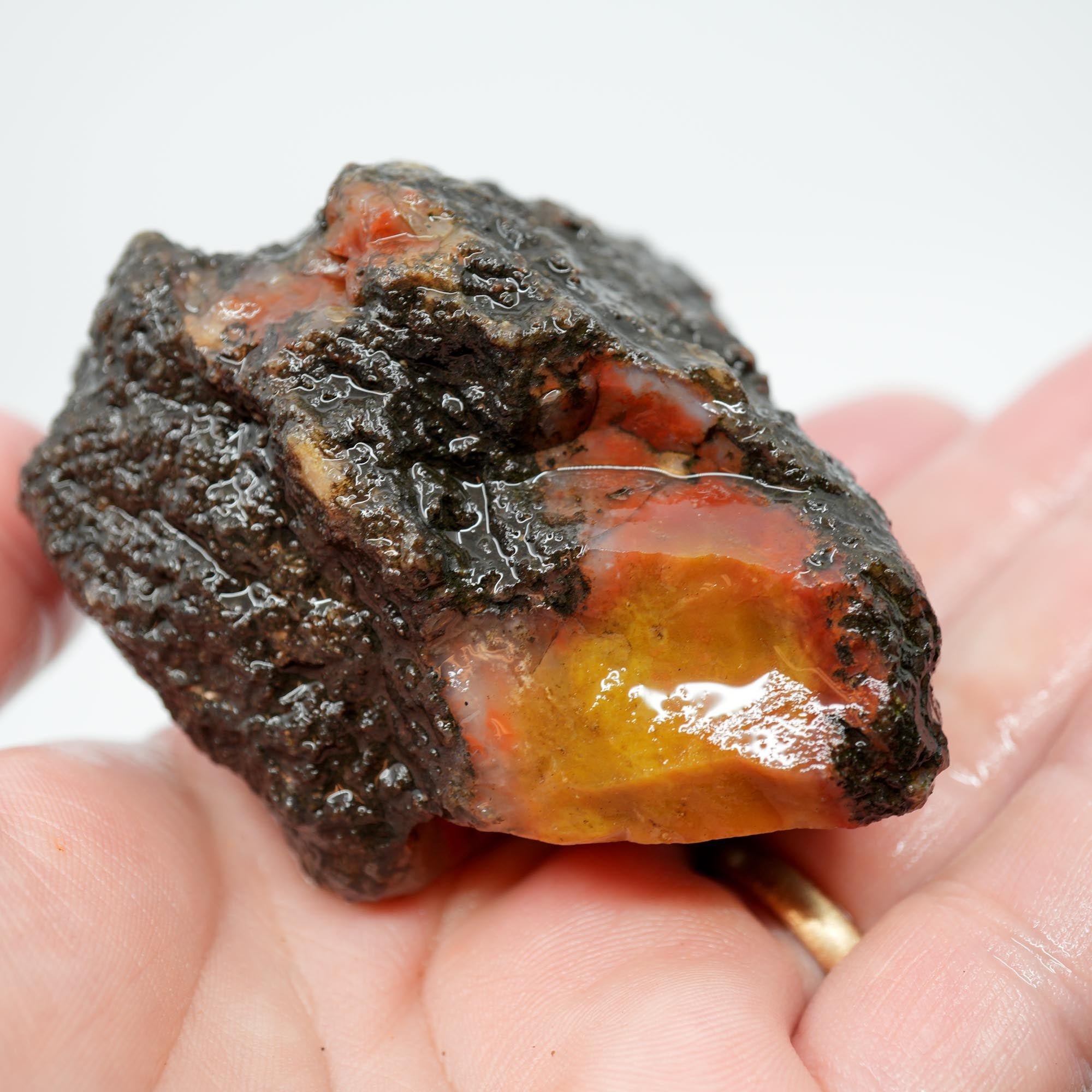 Alabama Paint Agate Rough - Golden Moss with Red Flows