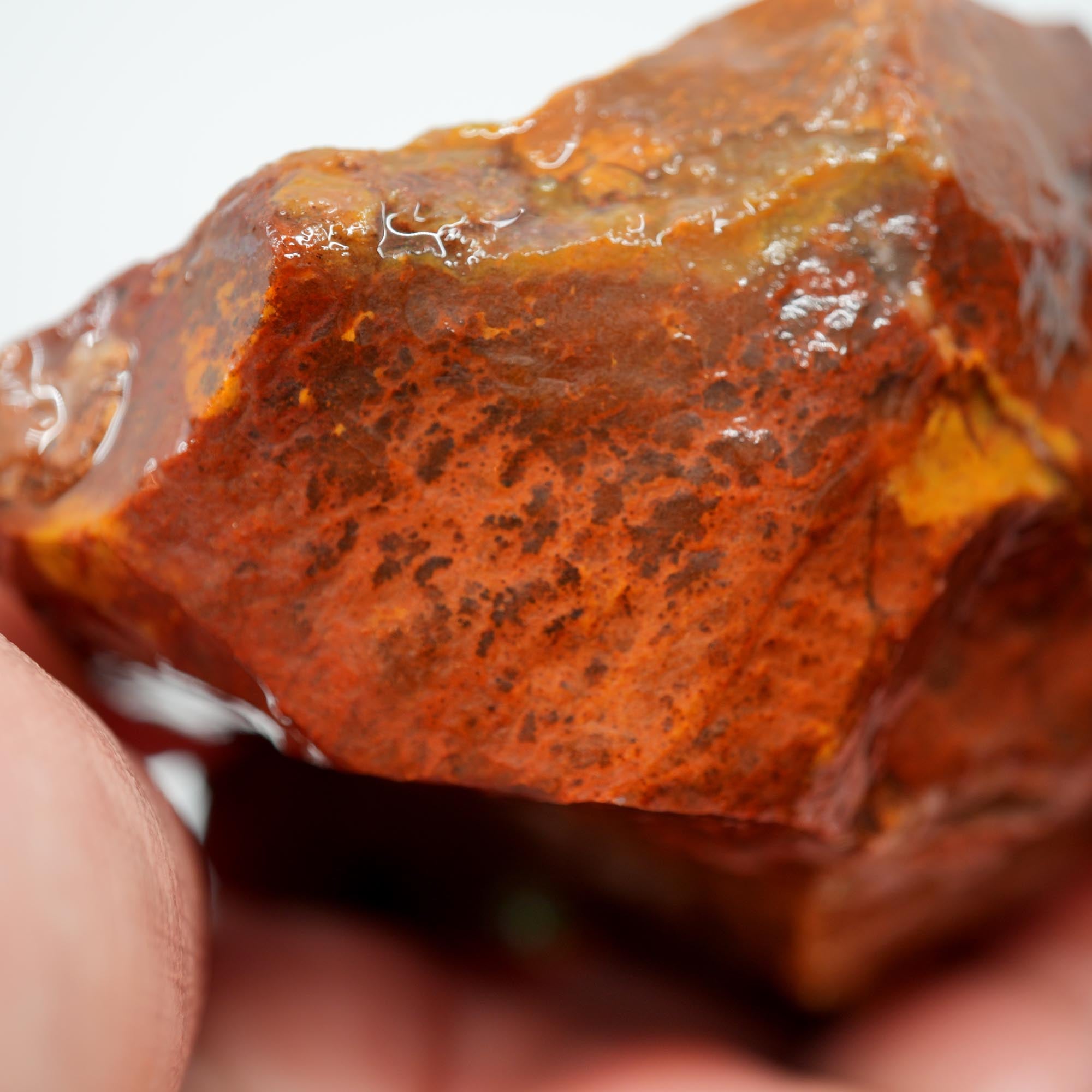 Carey Plume Agate Rough - Bright Red with Druzy Void and Plume Potential