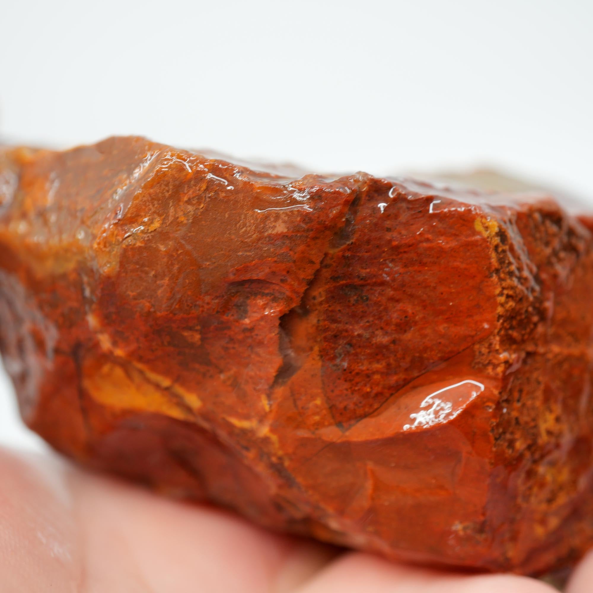 Carey Plume Agate Rough - Bright Red with Druzy Void and Plume Potential