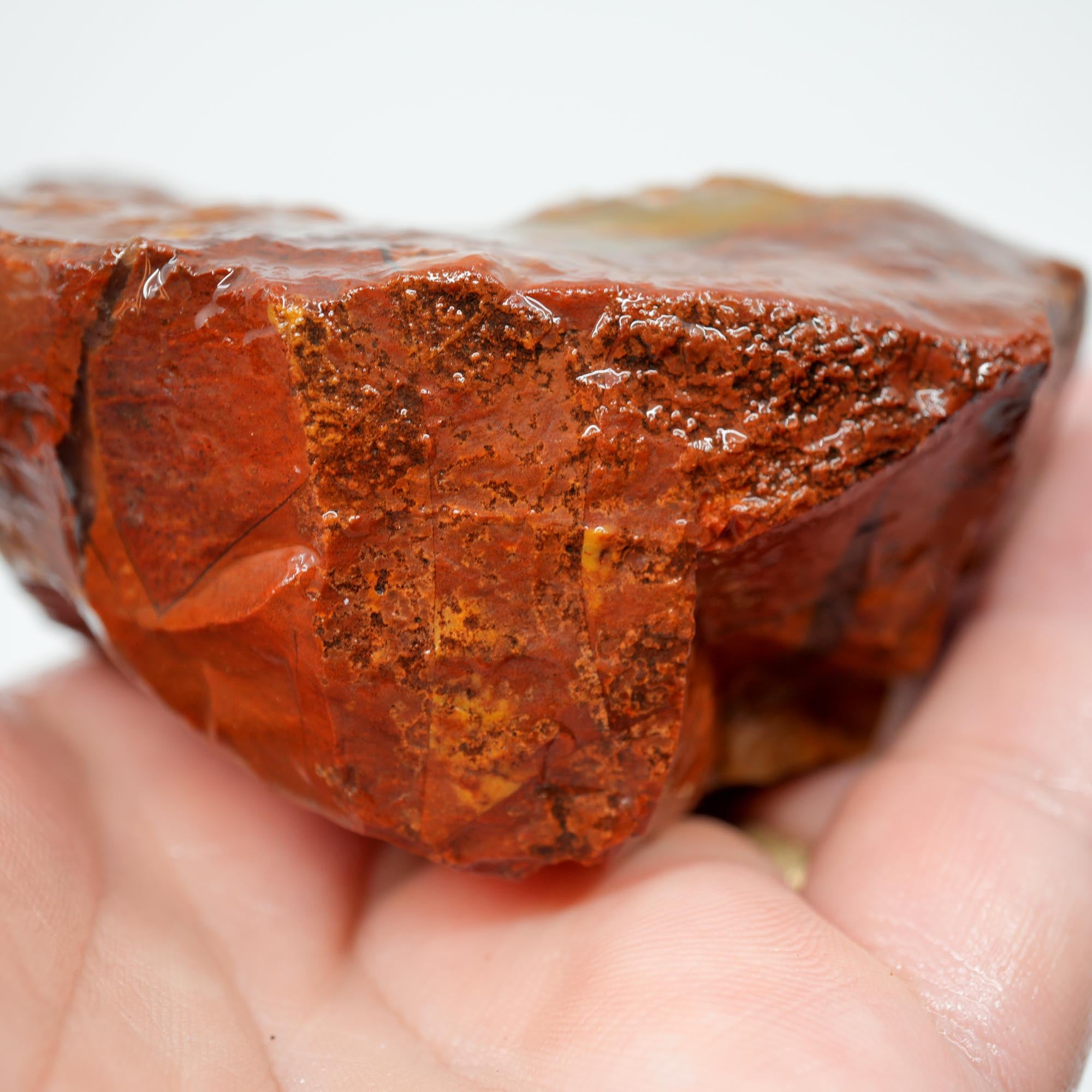 Carey Plume Agate Rough - Bright Red with Druzy Void and Plume Potential